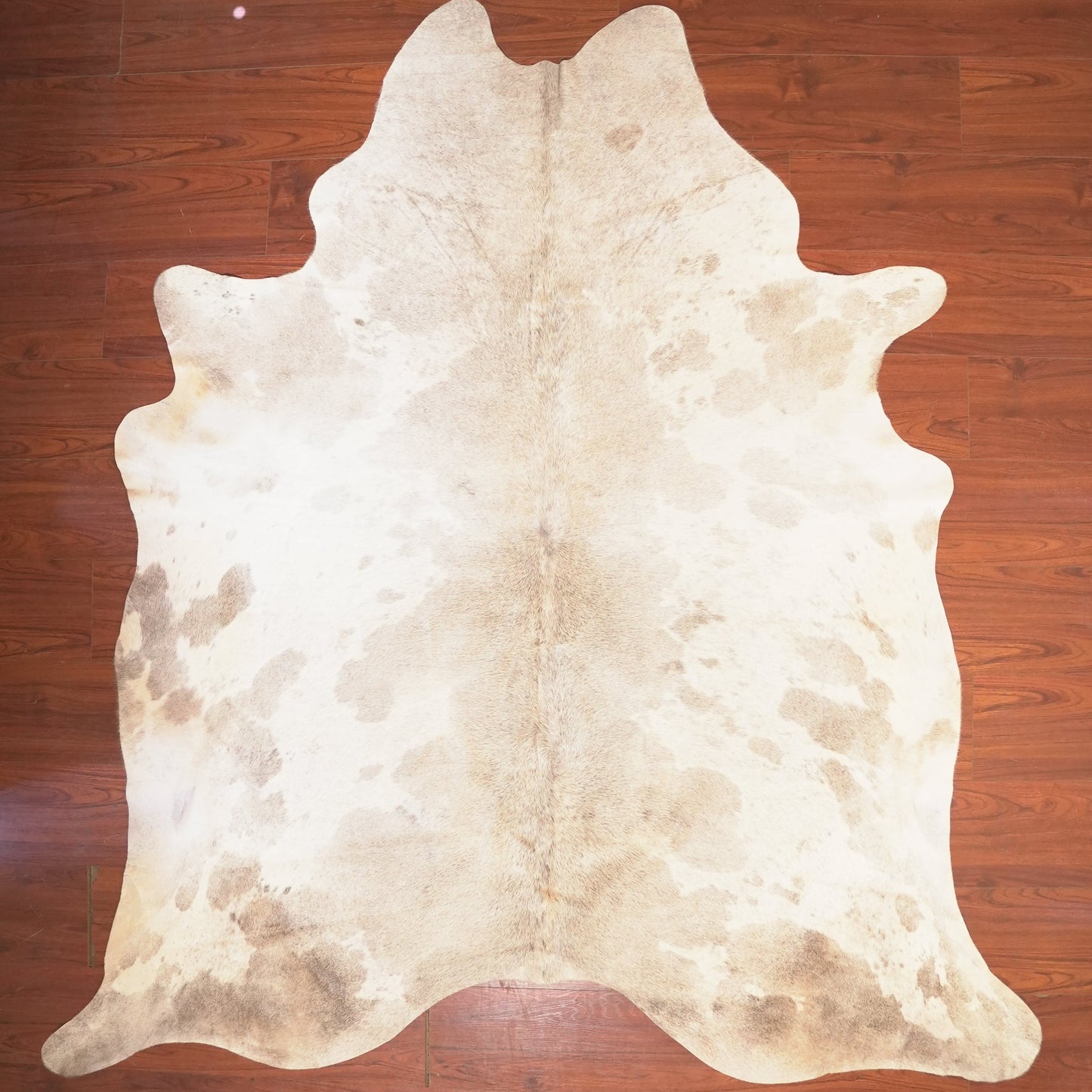The Nguni Guy Nguni cowhide African decor Authentic cowhide Home decor Interior design Unique pattern Hand-selected Premium quality Natural beauty Exotic rug Genuine hide Statement piece Contemporary style Ethically sourced Sustainable decor Versatile accent Luxury rug Designer piece Modern aesthetic High-end craftsmanship Timeless elegance Designer home accents
