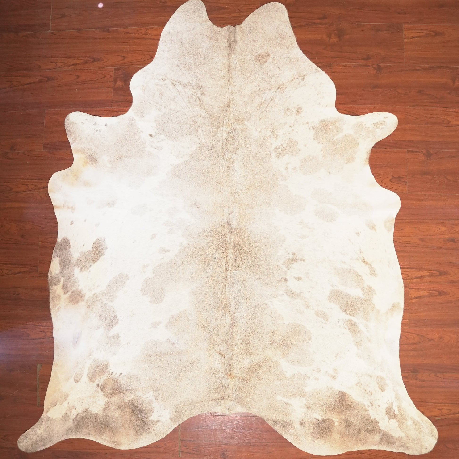 The Nguni Guy Nguni cowhide African decor Authentic cowhide Home decor Interior design Unique pattern Hand-selected Premium quality Natural beauty Exotic rug Genuine hide Statement piece Contemporary style Ethically sourced Sustainable decor Versatile accent Luxury rug Designer piece Modern aesthetic High-end craftsmanship Timeless elegance Designer home accents
