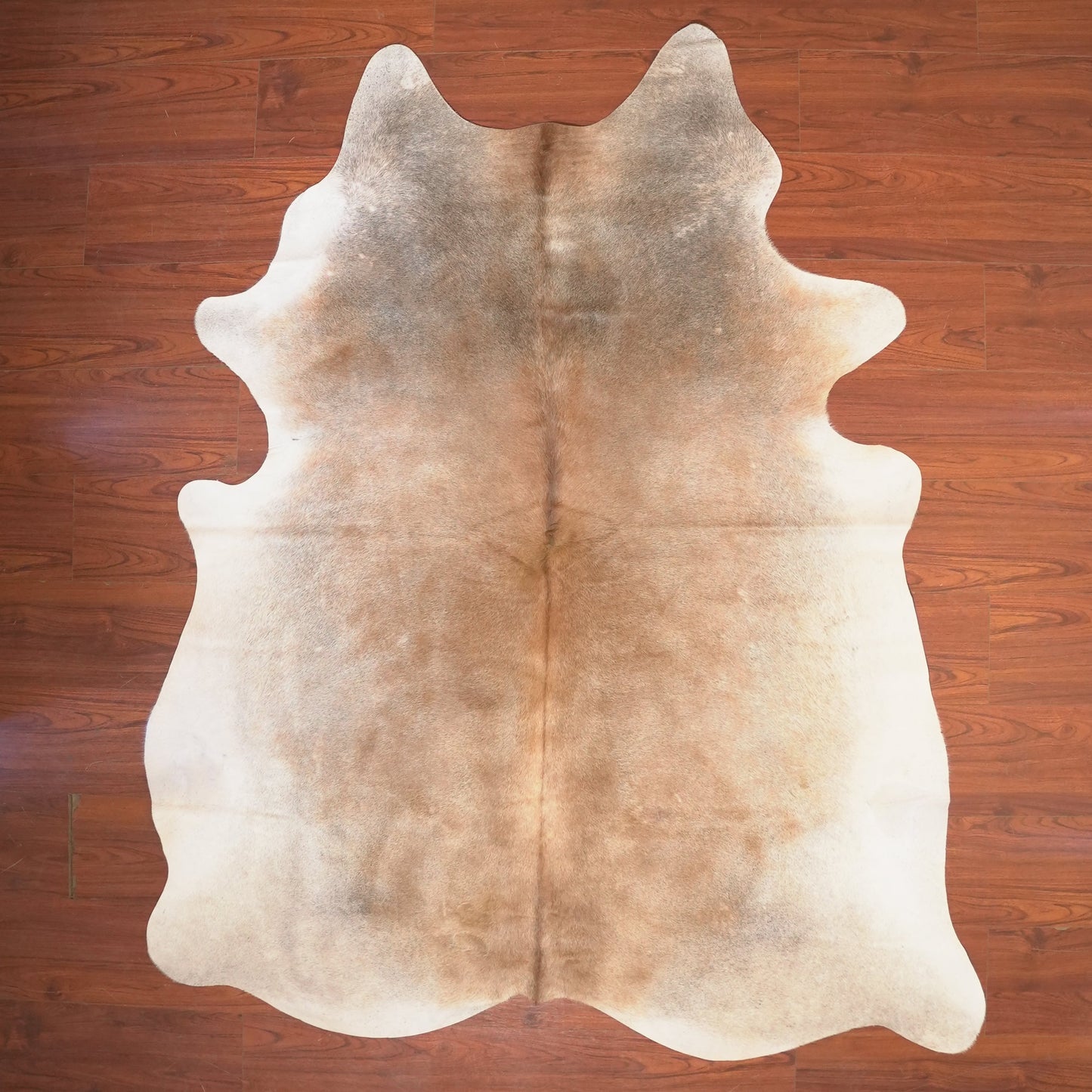 The Nguni Guy Nguni cowhide African decor Authentic cowhide Home decor Interior design Unique pattern Hand-selected Premium quality Natural beauty Exotic rug Genuine hide Statement piece Contemporary style Ethically sourced Sustainable decor Versatile accent Luxury rug Designer piece Modern aesthetic High-end craftsmanship Timeless elegance Designer home accents
