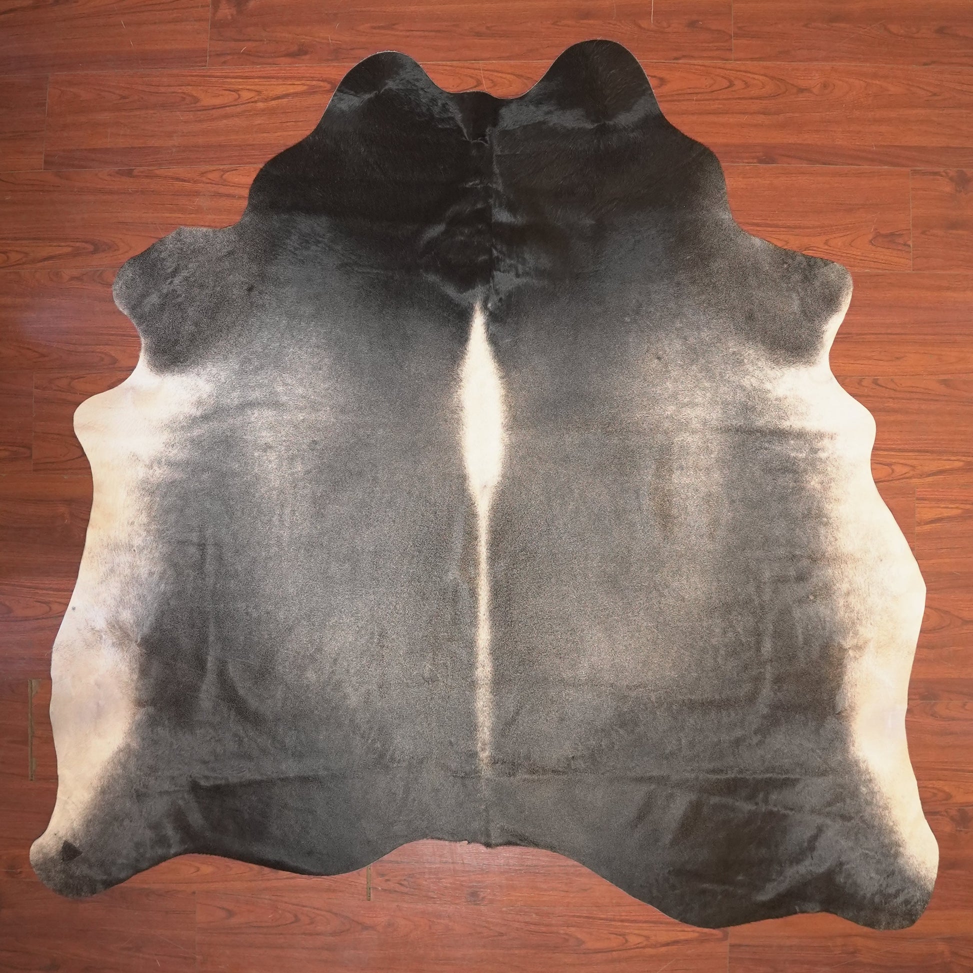 The Nguni Guy Nguni cowhide African decor Authentic cowhide Home decor Interior design Unique pattern Hand-selected Premium quality Natural beauty Exotic rug Genuine hide Statement piece Contemporary style Ethically sourced Sustainable decor Versatile accent Luxury rug Designer piece Modern aesthetic High-end craftsmanship Timeless elegance Designer home accents
