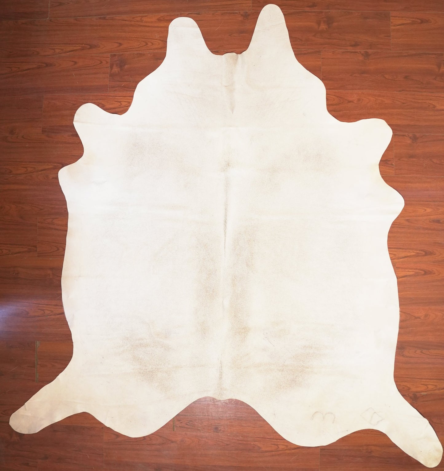 The Nguni Guy Nguni cowhide African decor Authentic cowhide Home decor Interior design Unique pattern Hand-selected Premium quality Natural beauty Exotic rug Genuine hide Statement piece Contemporary style Ethically sourced Sustainable decor Versatile accent Luxury rug Designer piece Modern aesthetic High-end craftsmanship Timeless elegance Designer home accents
