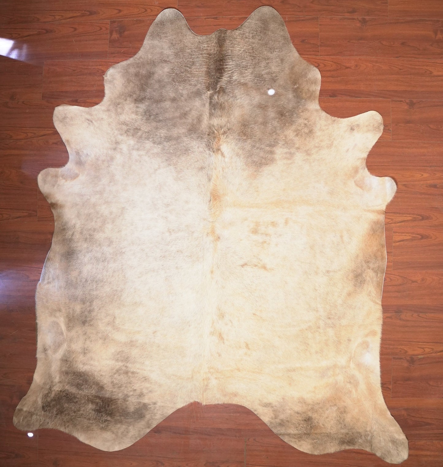 The Nguni Guy Nguni cowhide African decor Authentic cowhide Home decor Interior design Unique pattern Hand-selected Premium quality Natural beauty Exotic rug Genuine hide Statement piece Contemporary style Ethically sourced Sustainable decor Versatile accent Luxury rug Designer piece Modern aesthetic High-end craftsmanship Timeless elegance Designer home accents
