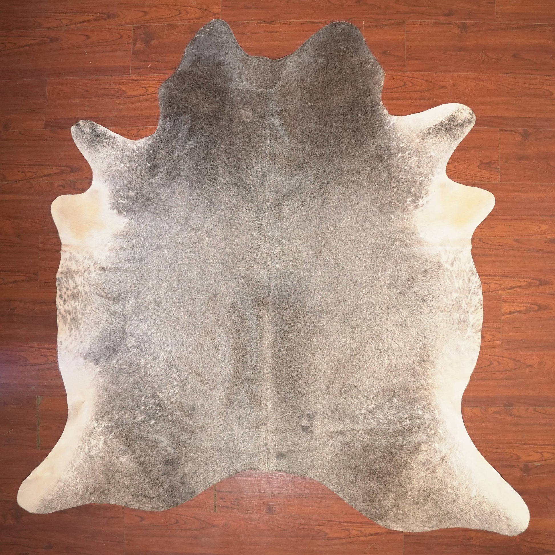 The Nguni Guy Nguni cowhide African decor Authentic cowhide Home decor Interior design Unique pattern Hand-selected Premium quality Natural beauty Exotic rug Genuine hide Statement piece Contemporary style Ethically sourced Sustainable decor Versatile accent Luxury rug Designer piece Modern aesthetic High-end craftsmanship Timeless elegance Designer home accents
