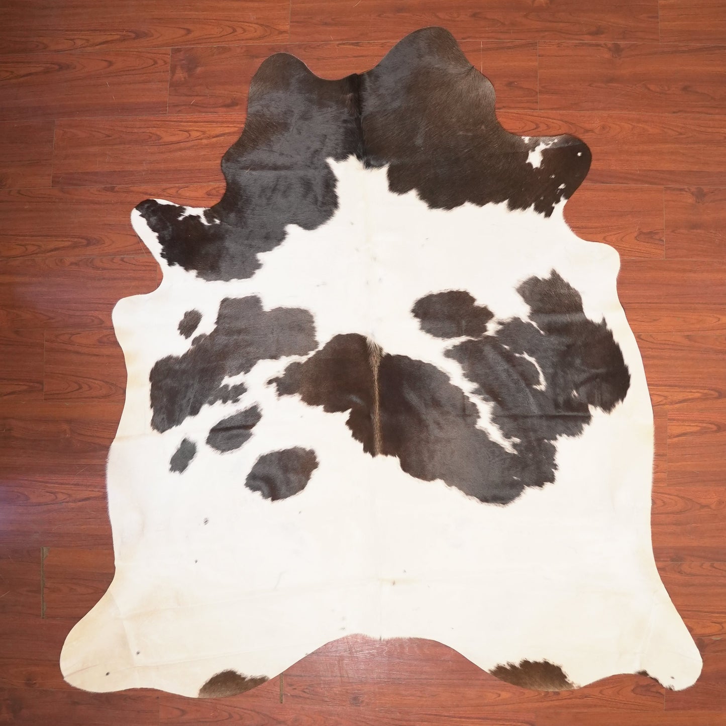 The Nguni Guy Nguni cowhide African decor Authentic cowhide Home decor Interior design Unique pattern Hand-selected Premium quality Natural beauty Exotic rug Genuine hide Statement piece Contemporary style Ethically sourced Sustainable decor Versatile accent Luxury rug Designer piece Modern aesthetic High-end craftsmanship Timeless elegance Designer home accents
