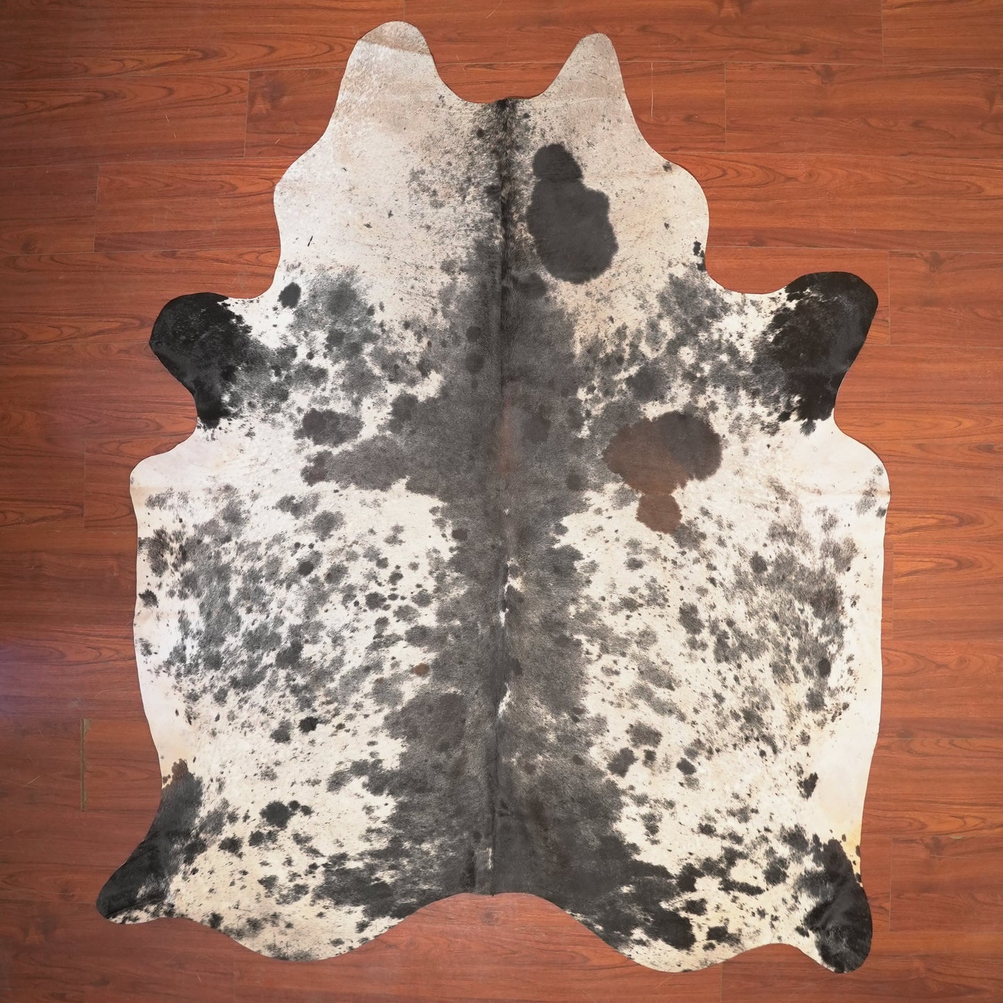 The Nguni Guy Nguni cowhide African decor Authentic cowhide Home decor Interior design Unique pattern Hand-selected Premium quality Natural beauty Exotic rug Genuine hide Statement piece Contemporary style Ethically sourced Sustainable decor Versatile accent Luxury rug Designer piece Modern aesthetic High-end craftsmanship Timeless elegance Designer home accents
