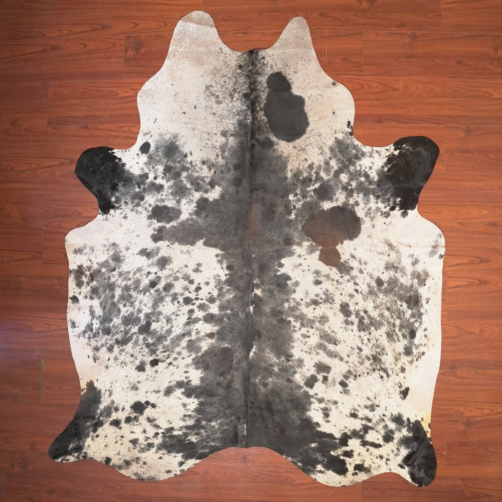 The Nguni Guy Nguni cowhide African decor Authentic cowhide Home decor Interior design Unique pattern Hand-selected Premium quality Natural beauty Exotic rug Genuine hide Statement piece Contemporary style Ethically sourced Sustainable decor Versatile accent Luxury rug Designer piece Modern aesthetic High-end craftsmanship Timeless elegance Designer home accents
