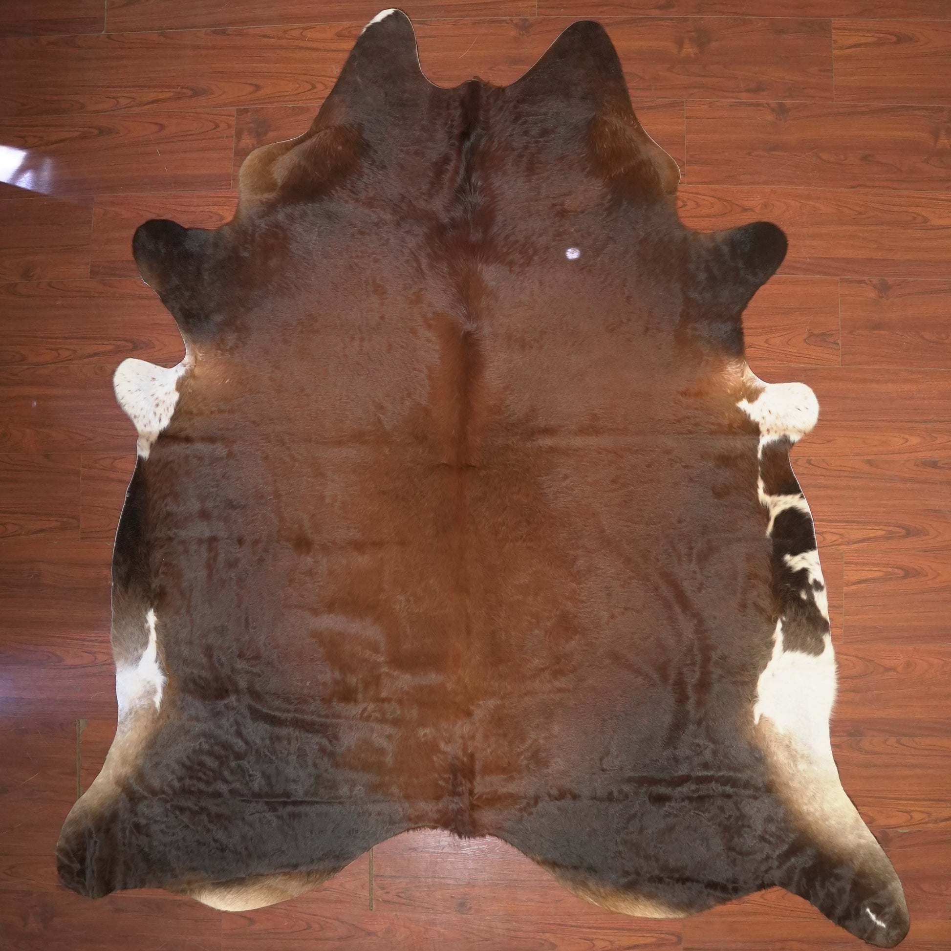 The Nguni Guy Nguni cowhide African decor Authentic cowhide Home decor Interior design Unique pattern Hand-selected Premium quality Natural beauty Exotic rug Genuine hide Statement piece Contemporary style Ethically sourced Sustainable decor Versatile accent Luxury rug Designer piece Modern aesthetic High-end craftsmanship Timeless elegance Designer home accents
