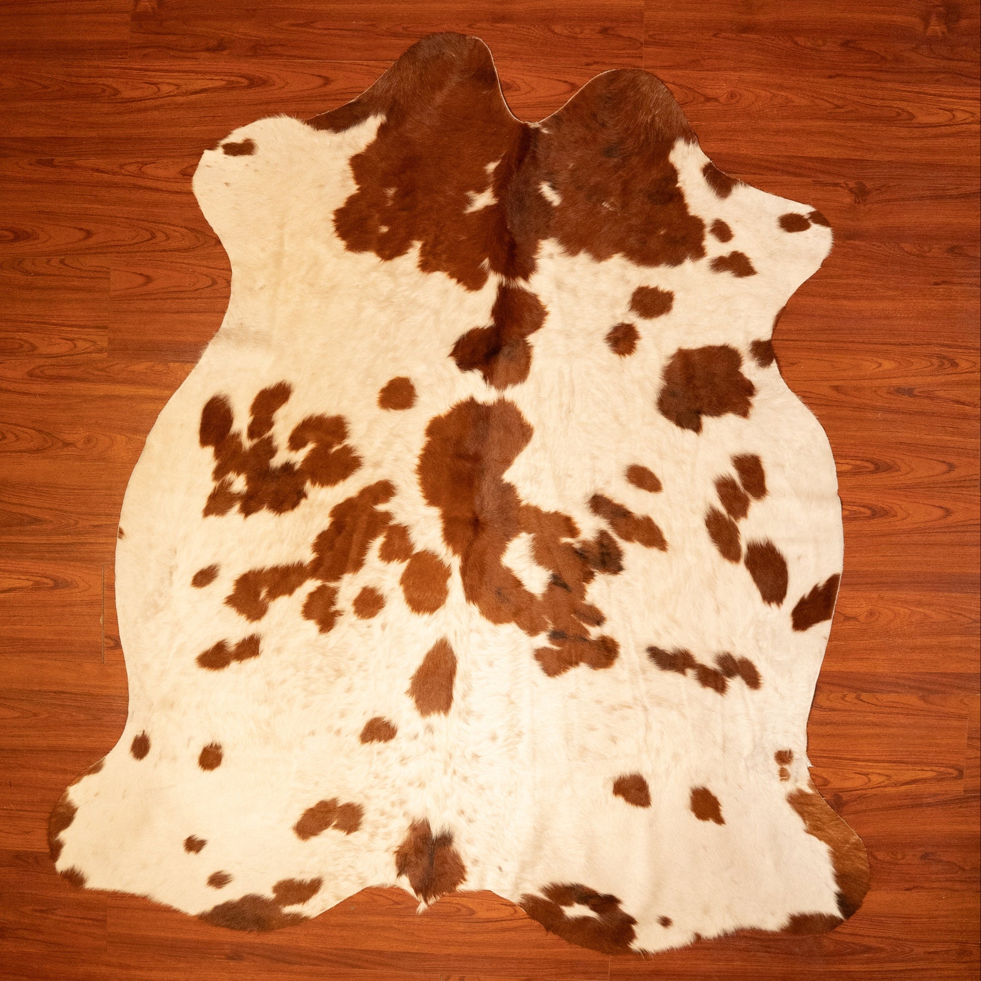 The Nguni Guy Nguni cowhide African decor Authentic cowhide Home decor Interior design Unique pattern Hand-selected Premium quality Natural beauty Exotic rug Genuine hide Statement piece Contemporary style Ethically sourced Sustainable decor Versatile accent Luxury rug Designer piece Modern aesthetic High-end craftsmanship Timeless elegance Designer home accents
