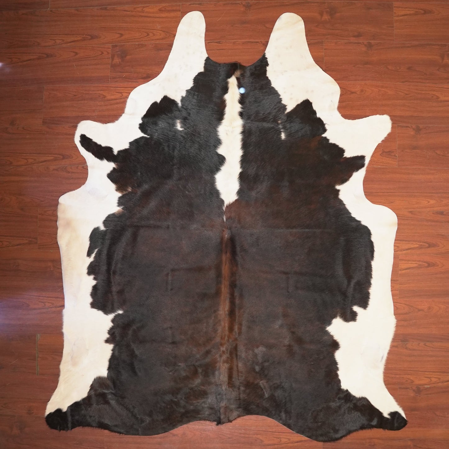 The Nguni Guy Nguni cowhide African decor Authentic cowhide Home decor Interior design Unique pattern Hand-selected Premium quality Natural beauty Exotic rug Genuine hide Statement piece Contemporary style Ethically sourced Sustainable decor Versatile accent Luxury rug Designer piece Modern aesthetic High-end craftsmanship Timeless elegance Designer home accents
