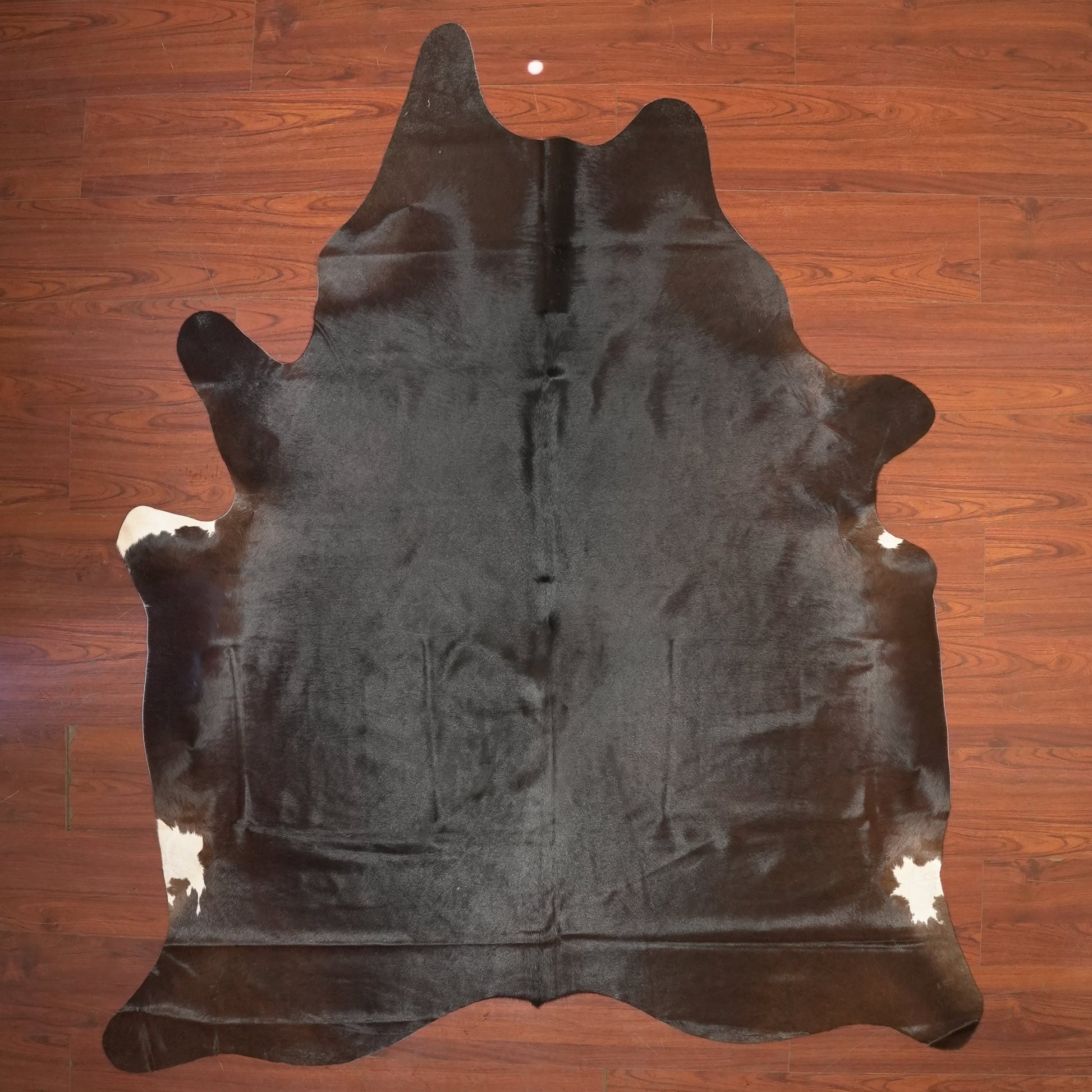 The Nguni Guy Nguni cowhide African decor Authentic cowhide Home decor Interior design Unique pattern Hand-selected Premium quality Natural beauty Exotic rug Genuine hide Statement piece Contemporary style Ethically sourced Sustainable decor Versatile accent Luxury rug Designer piece Modern aesthetic High-end craftsmanship Timeless elegance Designer home accents
