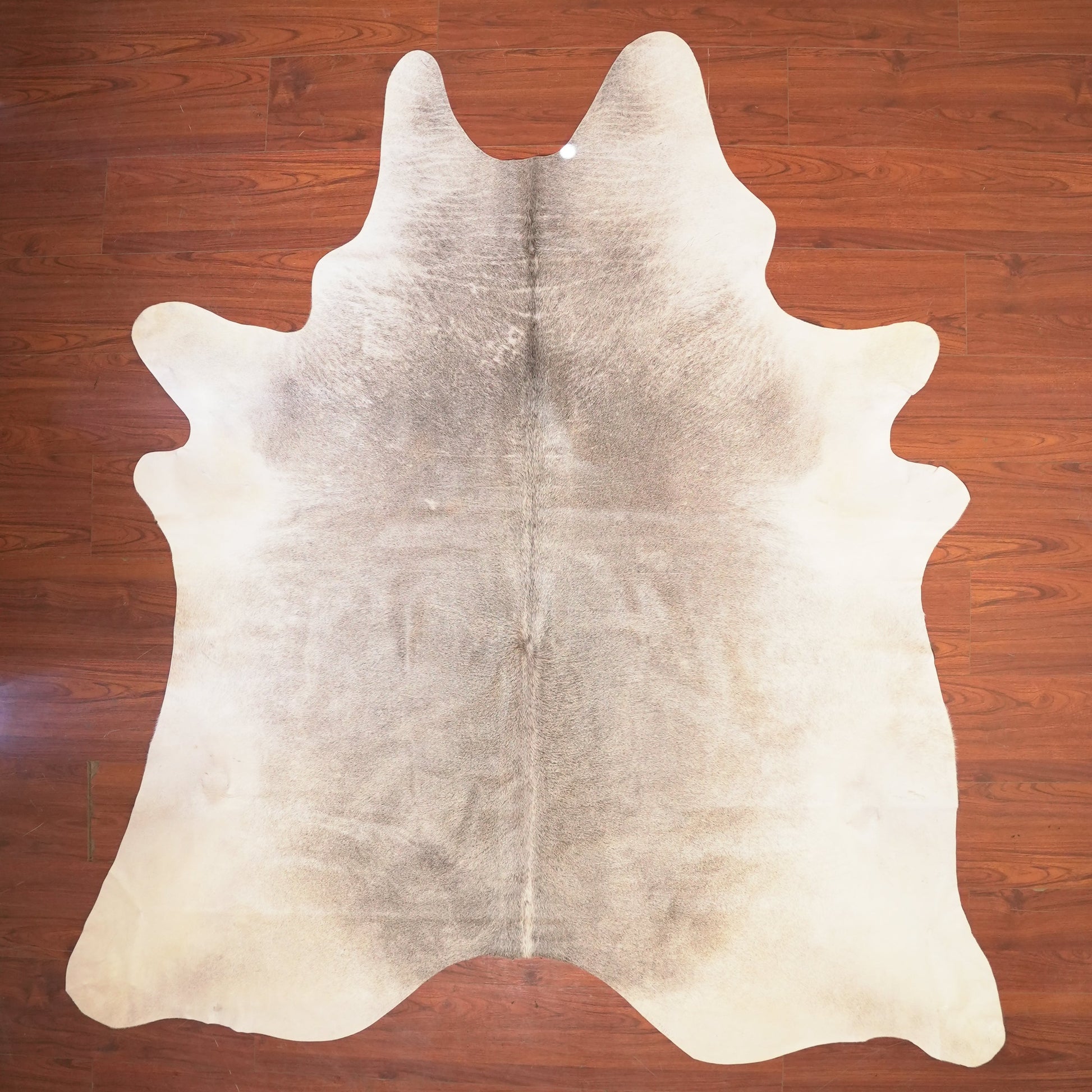 The Nguni Guy Nguni cowhide African decor Authentic cowhide Home decor Interior design Unique pattern Hand-selected Premium quality Natural beauty Exotic rug Genuine hide Statement piece Contemporary style Ethically sourced Sustainable decor Versatile accent Luxury rug Designer piece Modern aesthetic High-end craftsmanship Timeless elegance Designer home accents
