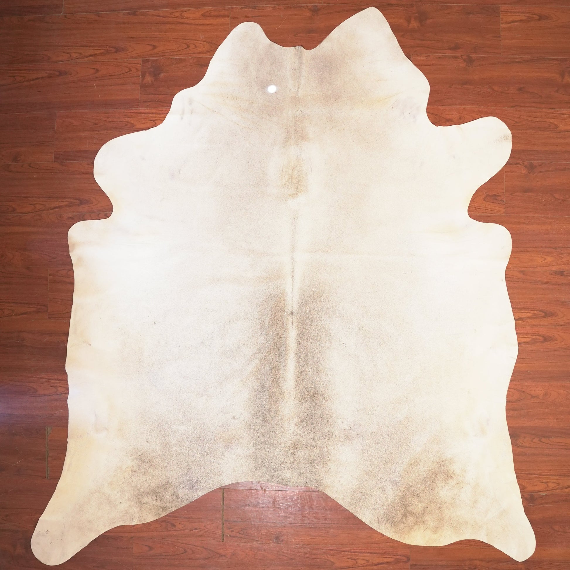 The Nguni Guy Nguni cowhide African decor Authentic cowhide Home decor Interior design Unique pattern Hand-selected Premium quality Natural beauty Exotic rug Genuine hide Statement piece Contemporary style Ethically sourced Sustainable decor Versatile accent Luxury rug Designer piece Modern aesthetic High-end craftsmanship Timeless elegance Designer home accents
