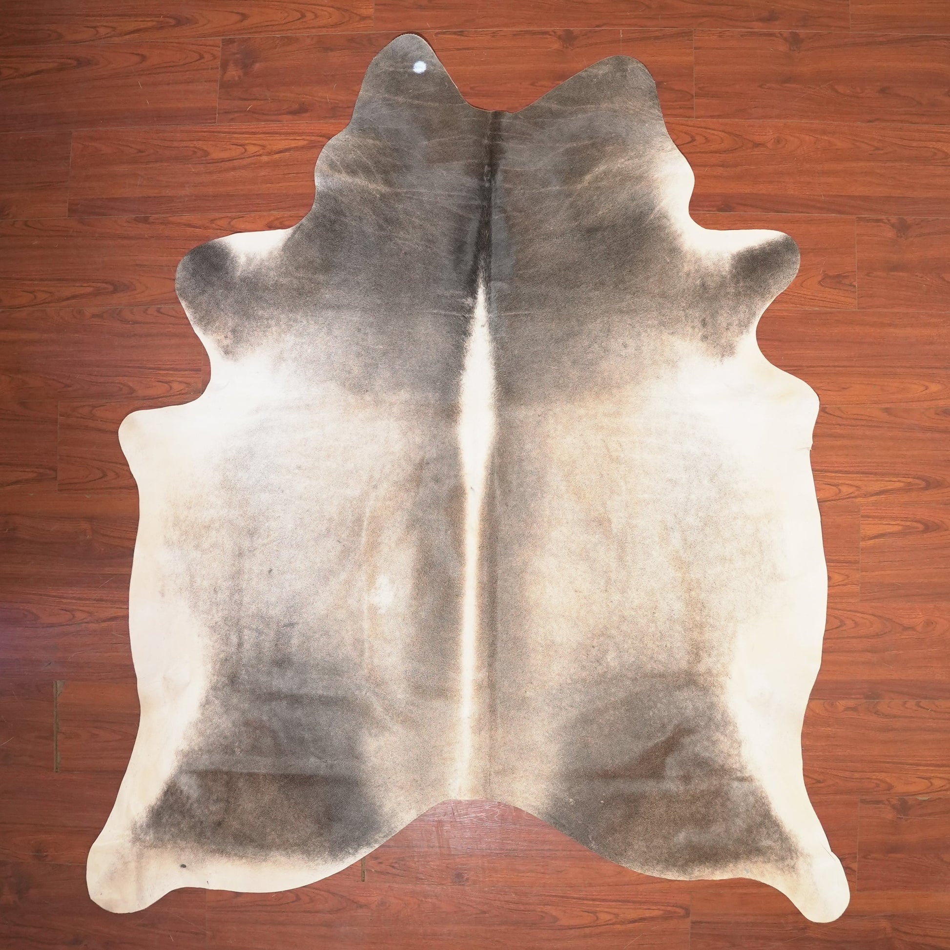 The Nguni Guy Nguni cowhide African decor Authentic cowhide Home decor Interior design Unique pattern Hand-selected Premium quality Natural beauty Exotic rug Genuine hide Statement piece Contemporary style Ethically sourced Sustainable decor Versatile accent Luxury rug Designer piece Modern aesthetic High-end craftsmanship Timeless elegance Designer home accents
