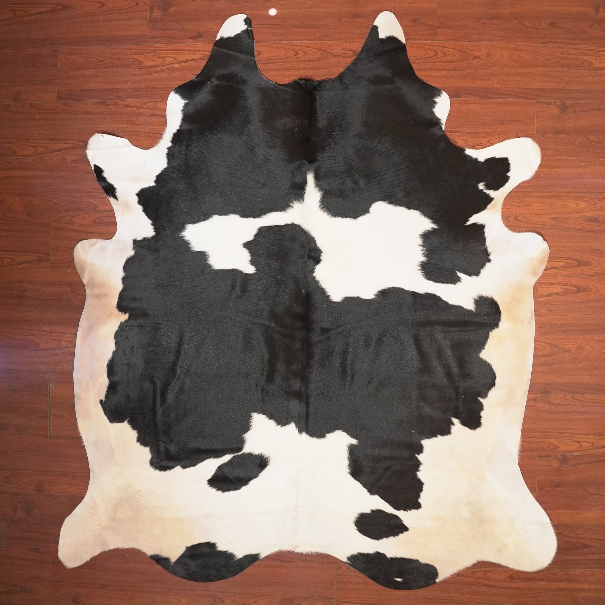 The Nguni Guy Nguni cowhide African decor Authentic cowhide Home decor Interior design Unique pattern Hand-selected Premium quality Natural beauty Exotic rug Genuine hide Statement piece Contemporary style Ethically sourced Sustainable decor Versatile accent Luxury rug Designer piece Modern aesthetic High-end craftsmanship Timeless elegance Designer home accents
