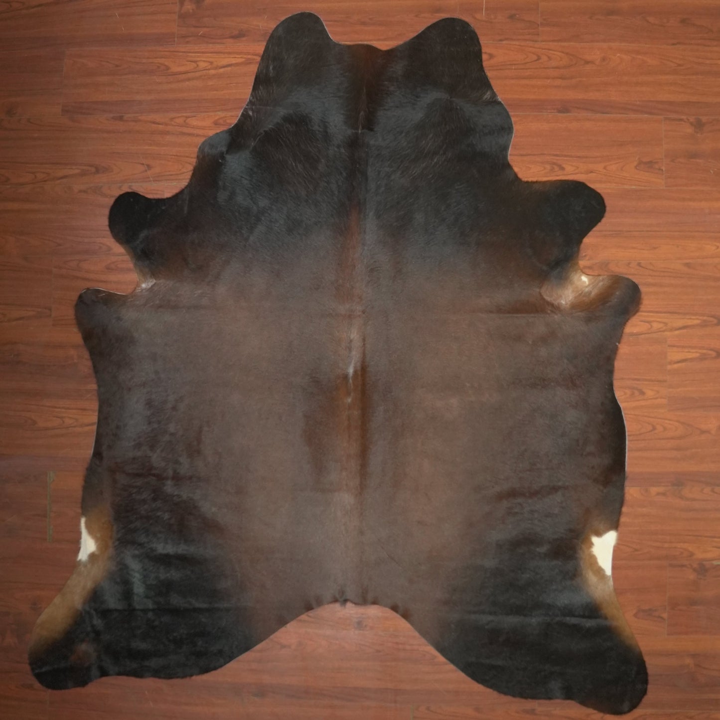 The Nguni Guy Nguni cowhide African decor Authentic cowhide Home decor Interior design Unique pattern Hand-selected Premium quality Natural beauty Exotic rug Genuine hide Statement piece Contemporary style Ethically sourced Sustainable decor Versatile accent Luxury rug Designer piece Modern aesthetic High-end craftsmanship Timeless elegance Designer home accents
