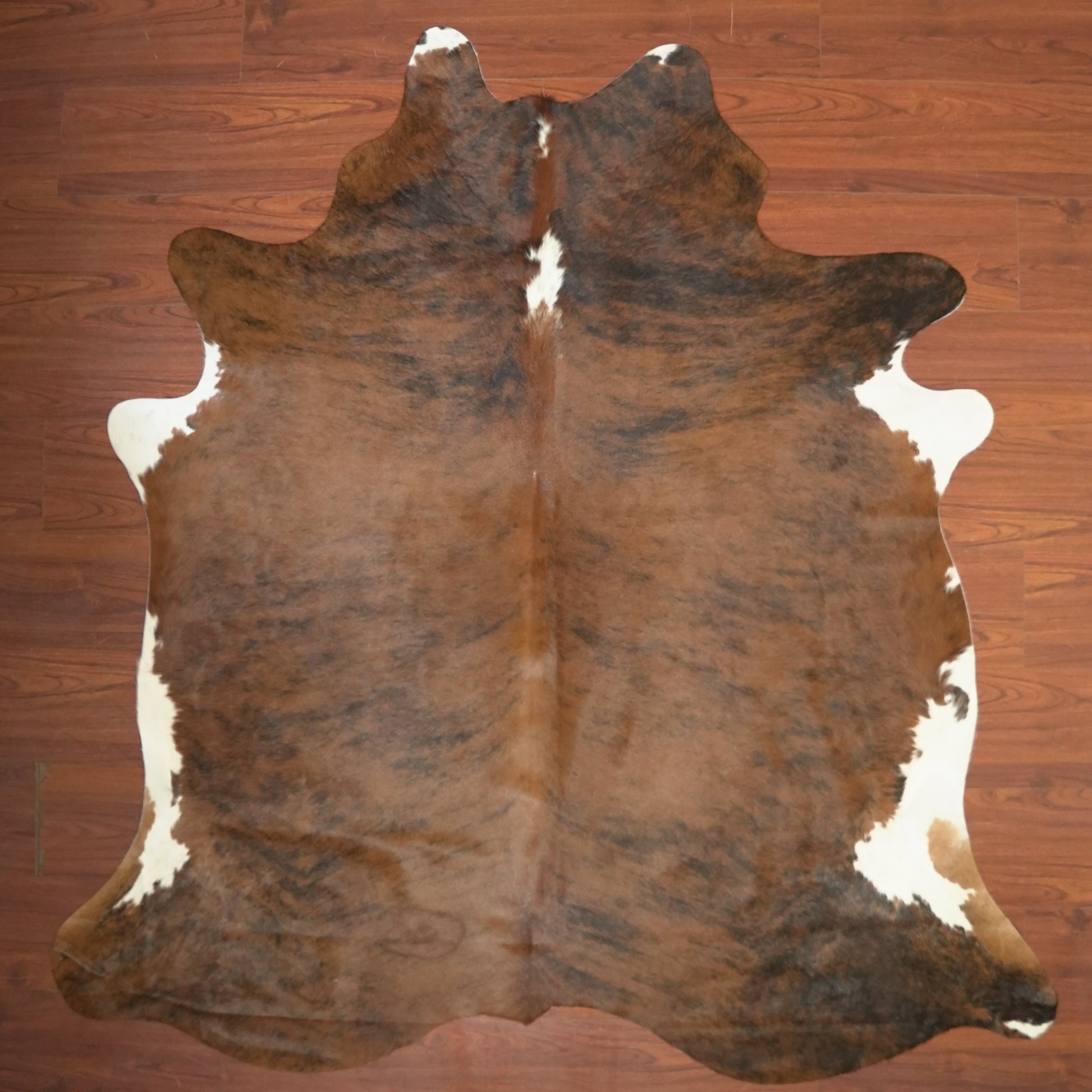 The Nguni Guy Nguni cowhide African decor Authentic cowhide Home decor Interior design Unique pattern Hand-selected Premium quality Natural beauty Exotic rug Genuine hide Statement piece Contemporary style Ethically sourced Sustainable decor Versatile accent Luxury rug Designer piece Modern aesthetic High-end craftsmanship Timeless elegance Designer home accents
