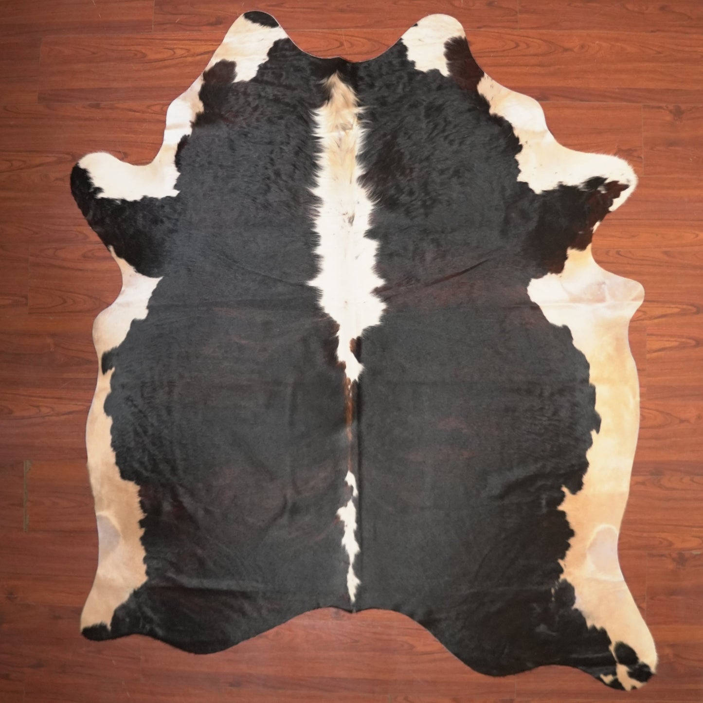 The Nguni Guy Nguni cowhide African decor Authentic cowhide Home decor Interior design Unique pattern Hand-selected Premium quality Natural beauty Exotic rug Genuine hide Statement piece Contemporary style Ethically sourced Sustainable decor Versatile accent Luxury rug Designer piece Modern aesthetic High-end craftsmanship Timeless elegance Designer home accents
