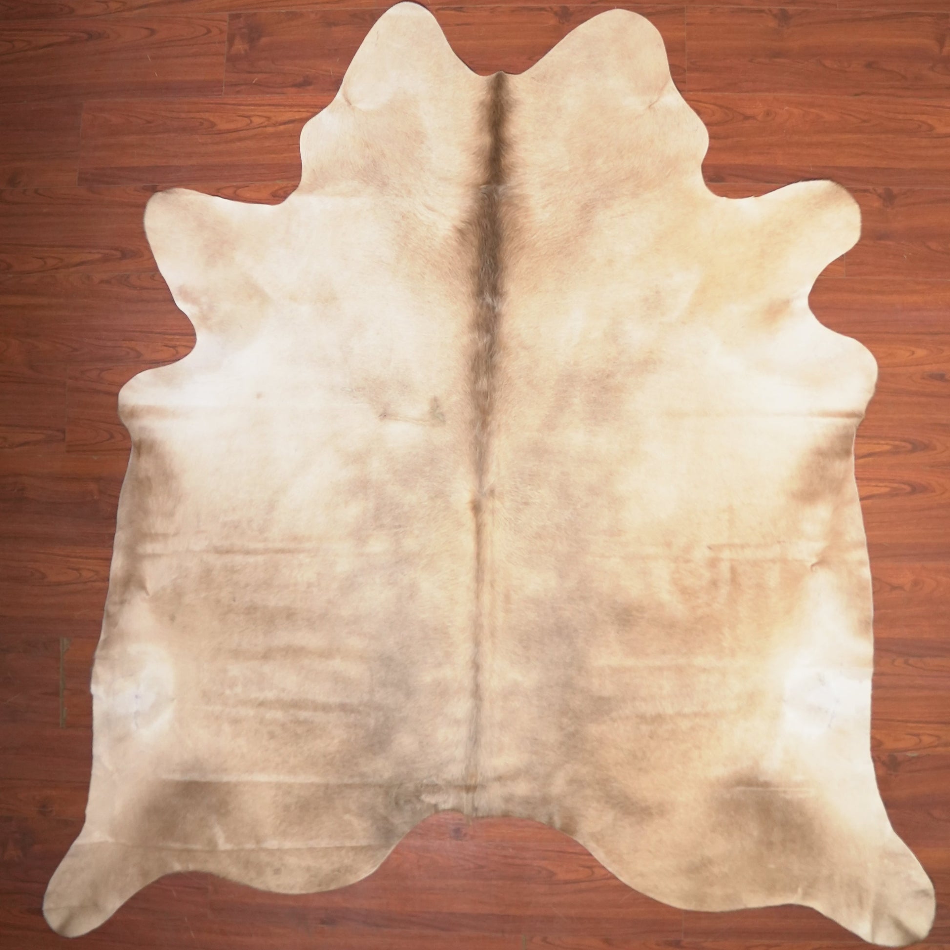 The Nguni Guy Nguni cowhide African decor Authentic cowhide Home decor Interior design Unique pattern Hand-selected Premium quality Natural beauty Exotic rug Genuine hide Statement piece Contemporary style Ethically sourced Sustainable decor Versatile accent Luxury rug Designer piece Modern aesthetic High-end craftsmanship Timeless elegance Designer home accents
