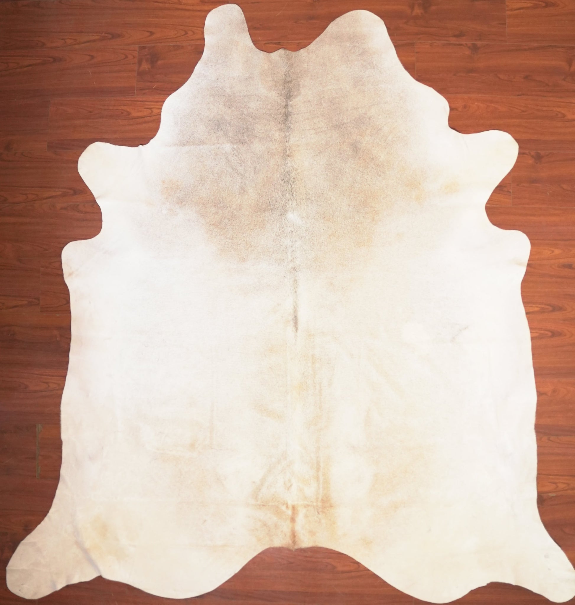 The Nguni Guy Nguni cowhide African decor Authentic cowhide Home decor Interior design Unique pattern Hand-selected Premium quality Natural beauty Exotic rug Genuine hide Statement piece Contemporary style Ethically sourced Sustainable decor Versatile accent Luxury rug Designer piece Modern aesthetic High-end craftsmanship Timeless elegance Designer home accents
