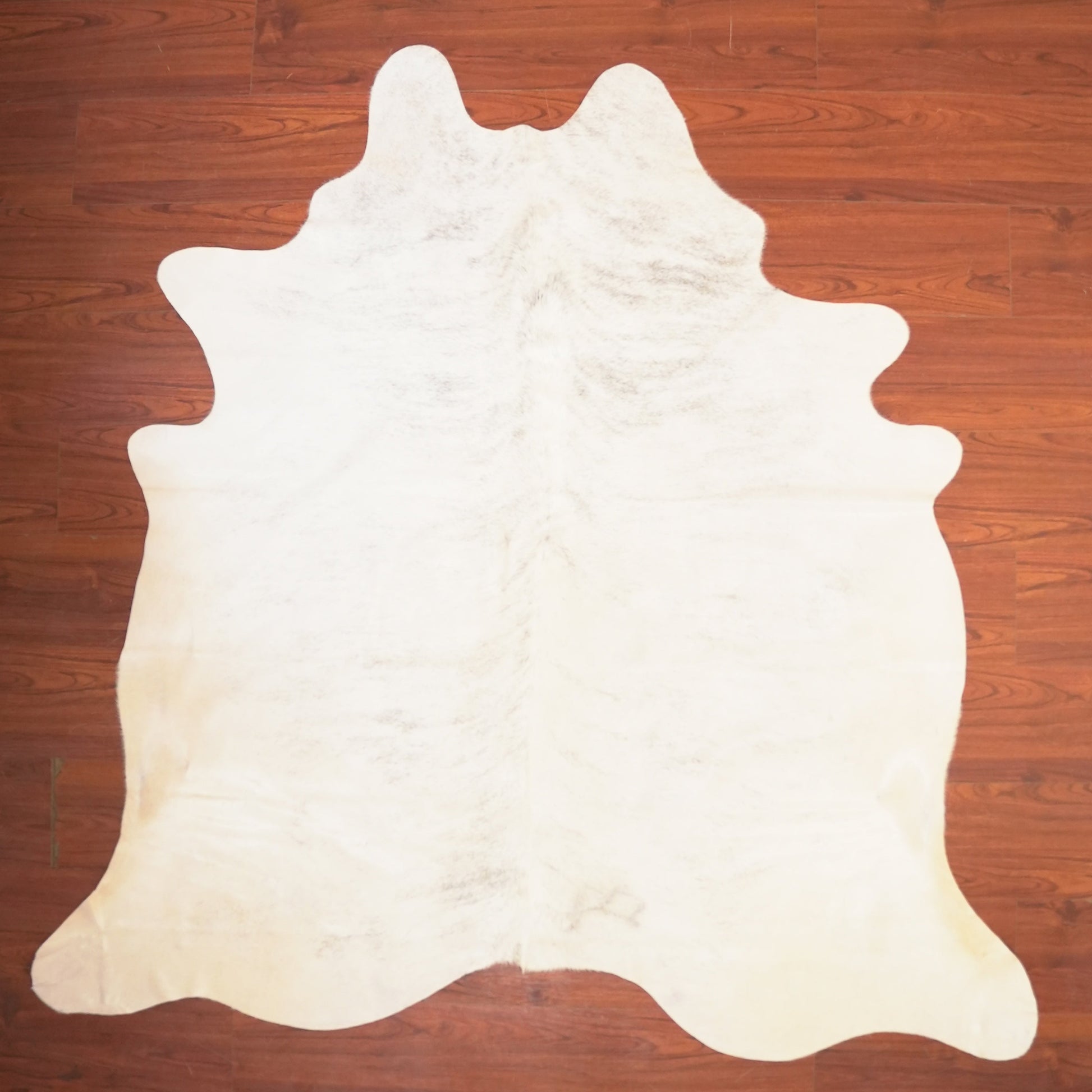 The Nguni Guy Nguni cowhide African decor Authentic cowhide Home decor Interior design Unique pattern Hand-selected Premium quality Natural beauty Exotic rug Genuine hide Statement piece Contemporary style Ethically sourced Sustainable decor Versatile accent Luxury rug Designer piece Modern aesthetic High-end craftsmanship Timeless elegance Designer home accents
