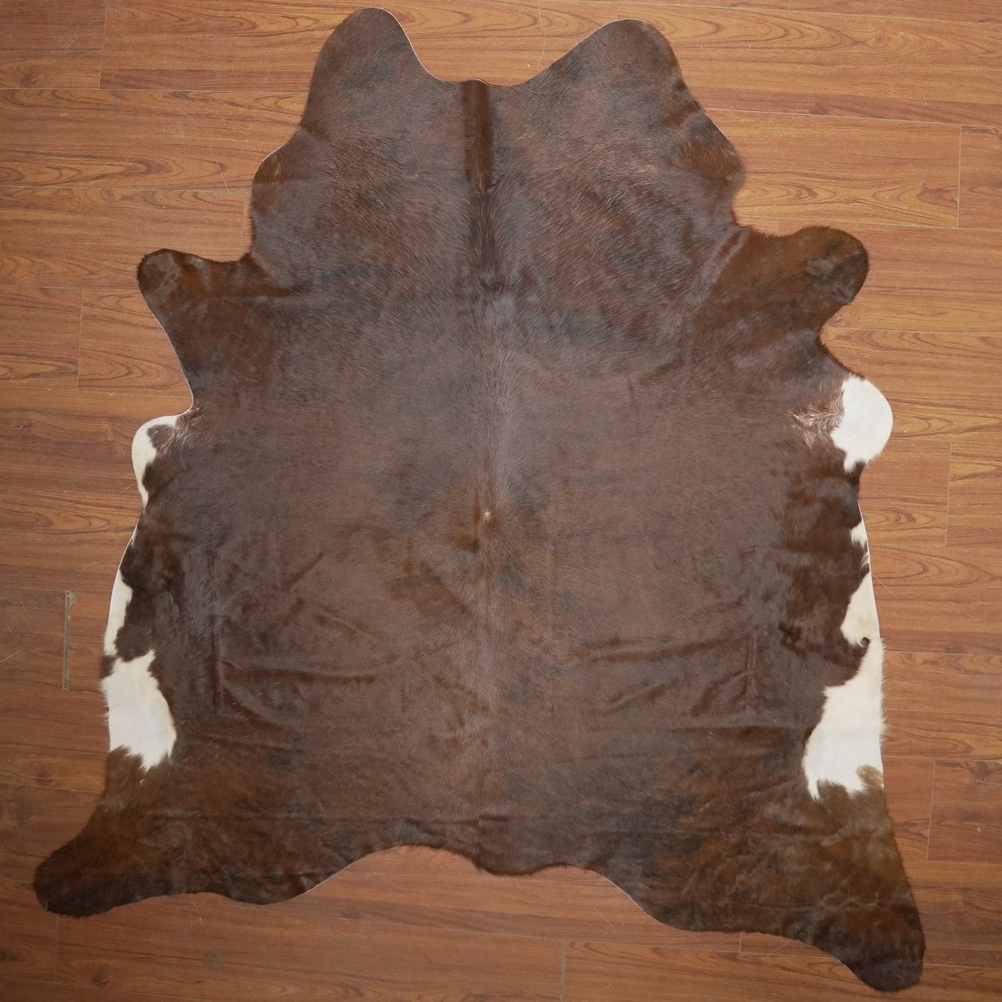 The Nguni Guy Nguni cowhide African decor Authentic cowhide Home decor Interior design Unique pattern Hand-selected Premium quality Natural beauty Exotic rug Genuine hide Statement piece Contemporary style Ethically sourced Sustainable decor Versatile accent Luxury rug Designer piece Modern aesthetic High-end craftsmanship Timeless elegance Designer home accents
