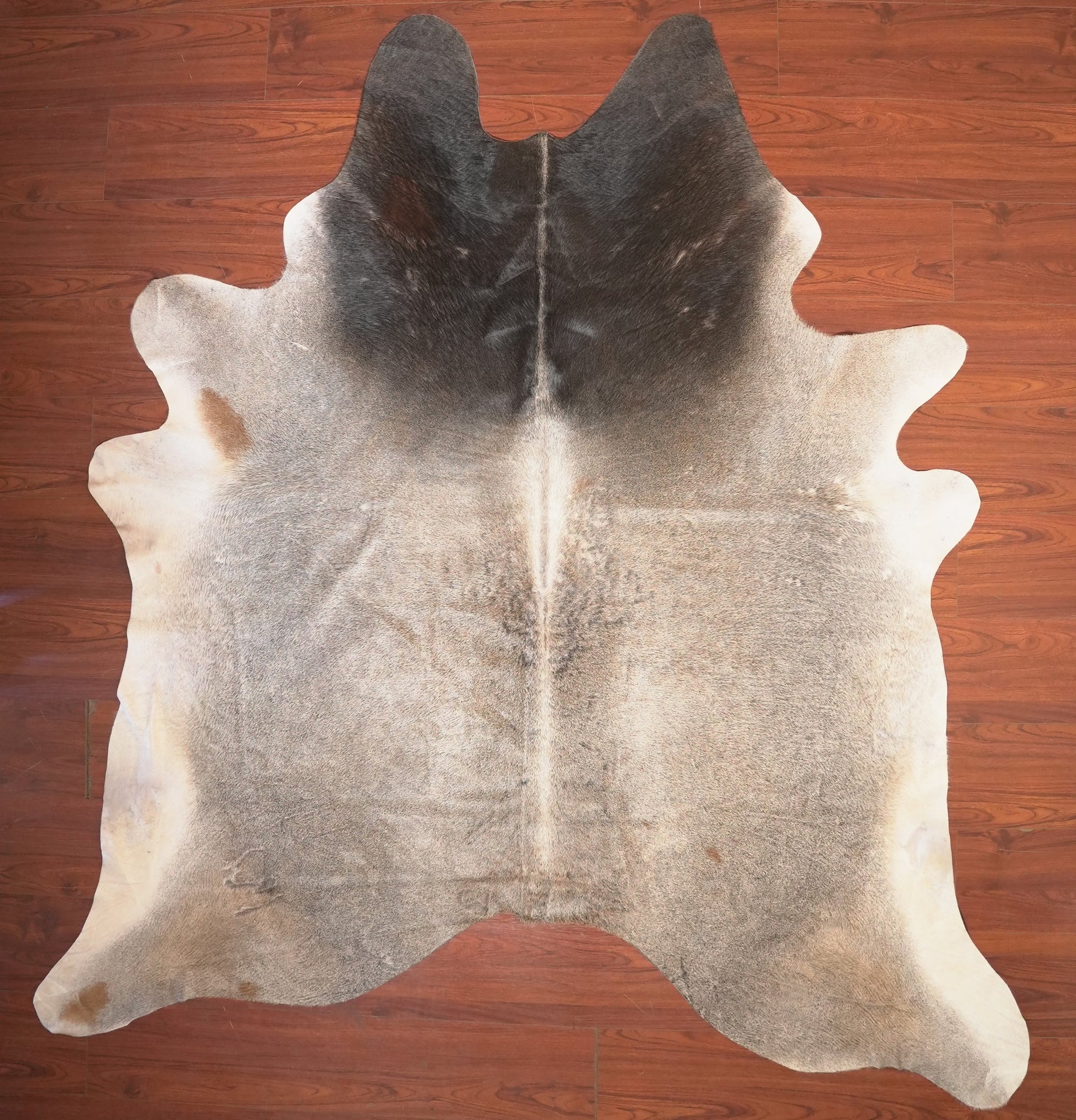 The Nguni Guy Nguni cowhide African decor Authentic cowhide Home decor Interior design Unique pattern Hand-selected Premium quality Natural beauty Exotic rug Genuine hide Statement piece Contemporary style Ethically sourced Sustainable decor Versatile accent Luxury rug Designer piece Modern aesthetic High-end craftsmanship Timeless elegance Designer home accents
