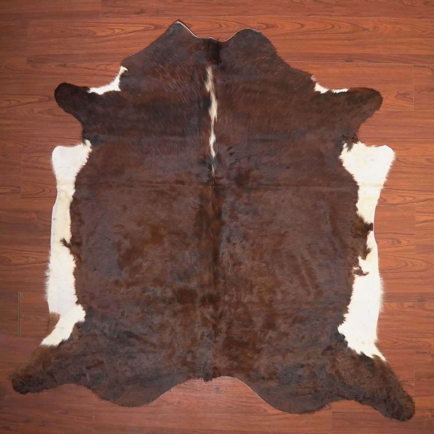 The Nguni Guy Nguni cowhide African decor Authentic cowhide Home decor Interior design Unique pattern Hand-selected Premium quality Natural beauty Exotic rug Genuine hide Statement piece Contemporary style Ethically sourced Sustainable decor Versatile accent Luxury rug Designer piece Modern aesthetic High-end craftsmanship Timeless elegance Designer home accents
