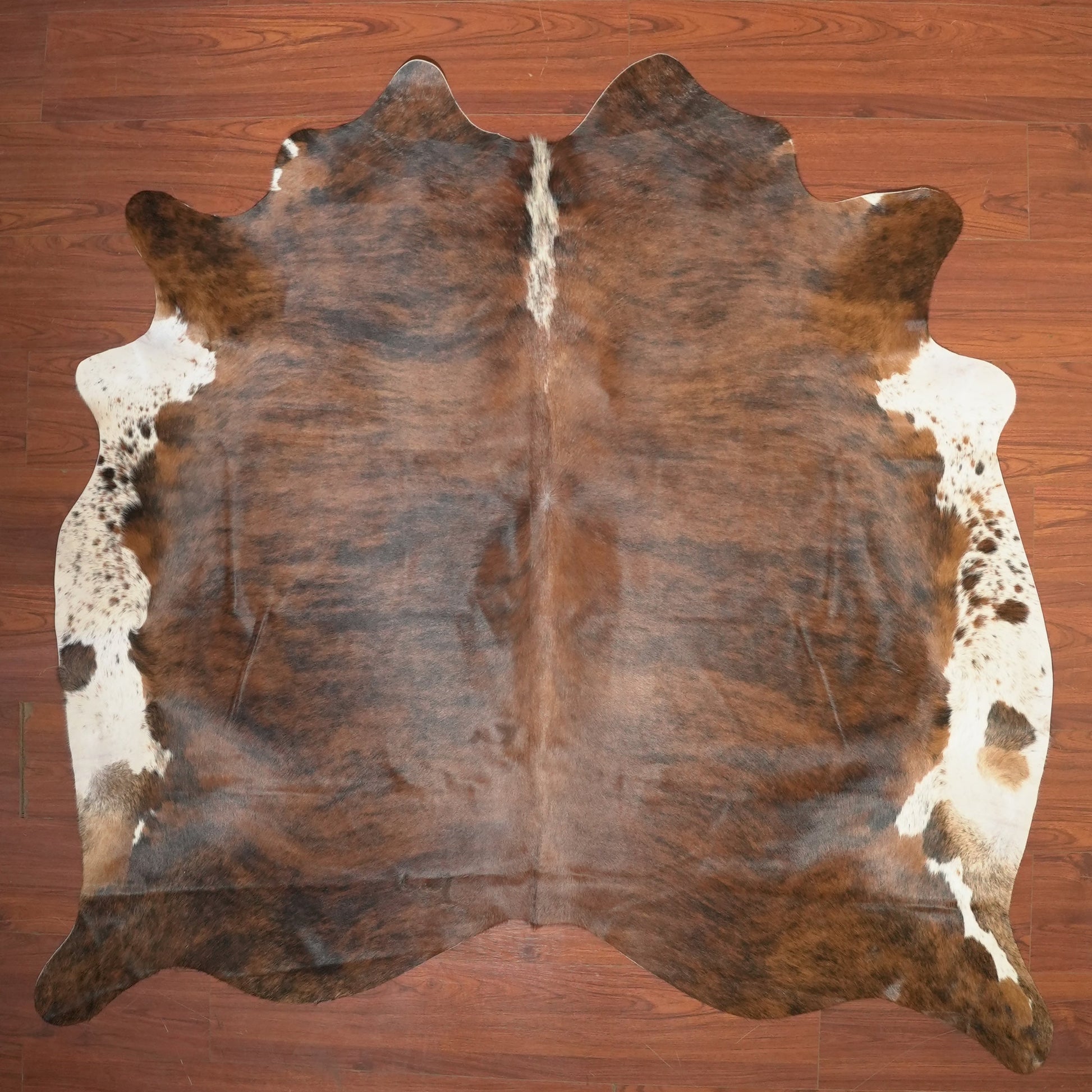 The Nguni Guy Nguni cowhide African decor Authentic cowhide Home decor Interior design Unique pattern Hand-selected Premium quality Natural beauty Exotic rug Genuine hide Statement piece Contemporary style Ethically sourced Sustainable decor Versatile accent Luxury rug Designer piece Modern aesthetic High-end craftsmanship Timeless elegance Designer home accents
