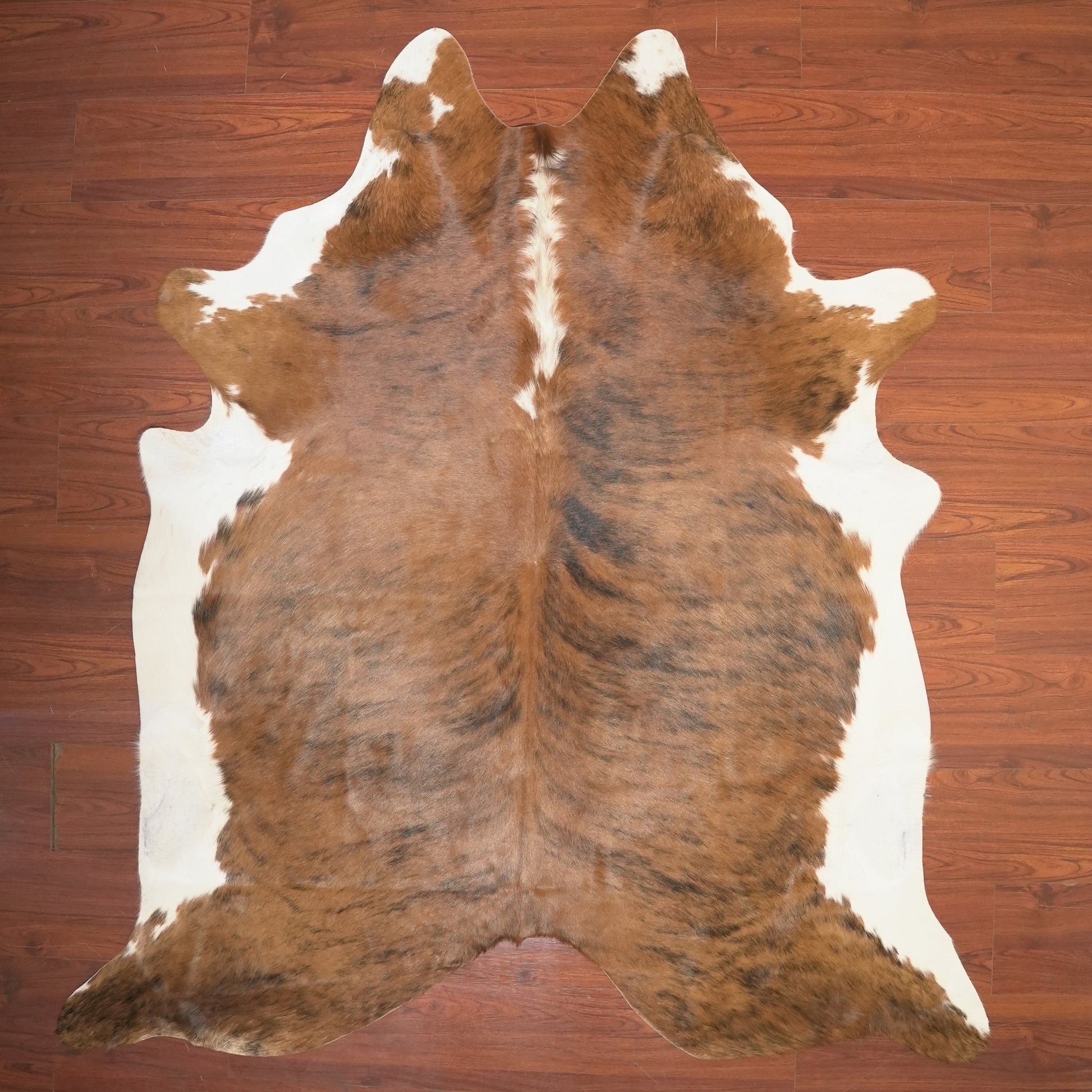 The Nguni Guy Nguni cowhide African decor Authentic cowhide Home decor Interior design Unique pattern Hand-selected Premium quality Natural beauty Exotic rug Genuine hide Statement piece Contemporary style Ethically sourced Sustainable decor Versatile accent Luxury rug Designer piece Modern aesthetic High-end craftsmanship Timeless elegance Designer home accents
