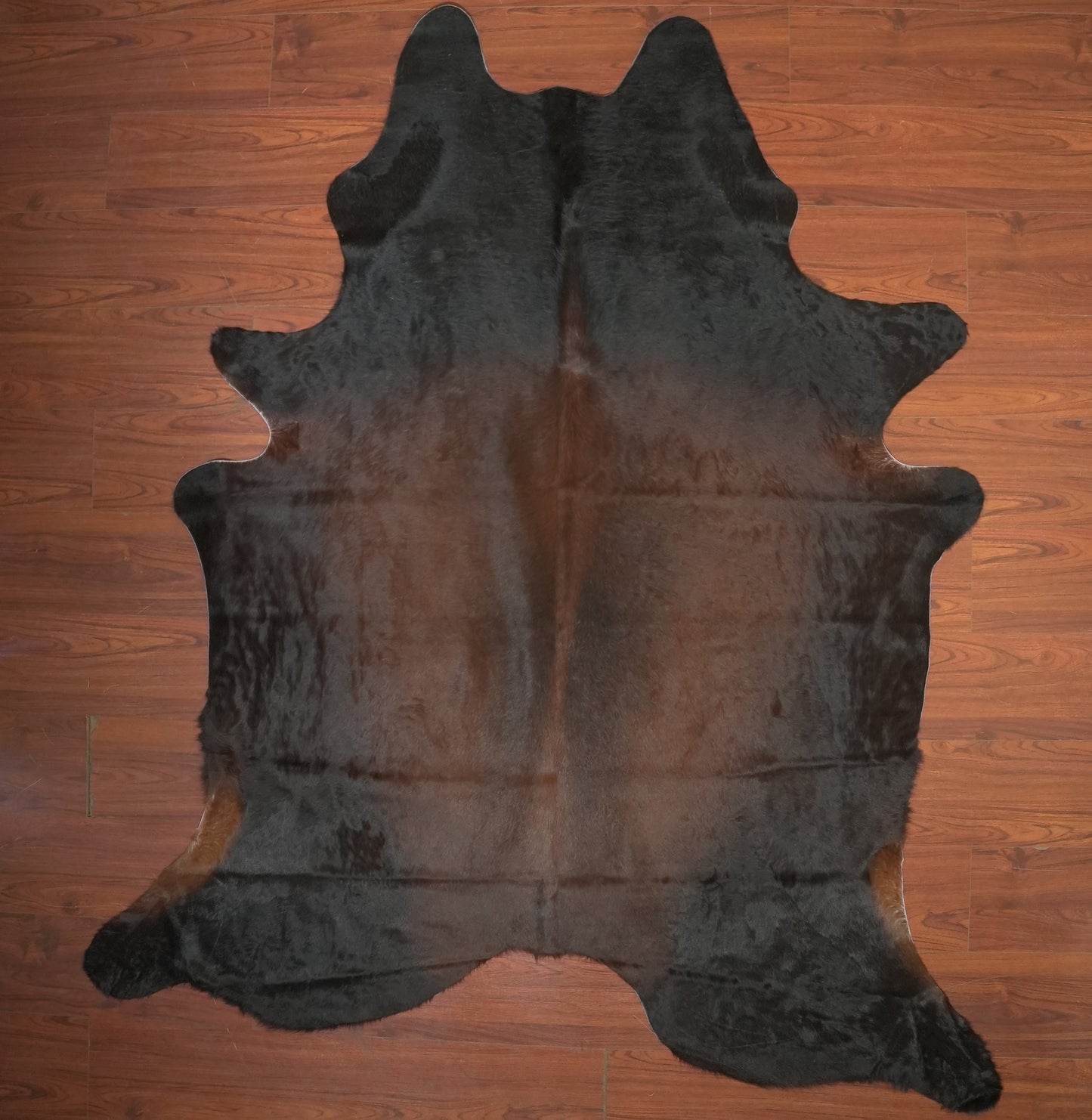 The Nguni Guy Nguni cowhide African decor Authentic cowhide Home decor Interior design Unique pattern Hand-selected Premium quality Natural beauty Exotic rug Genuine hide Statement piece Contemporary style Ethically sourced Sustainable decor Versatile accent Luxury rug Designer piece Modern aesthetic High-end craftsmanship Timeless elegance Designer home accents
