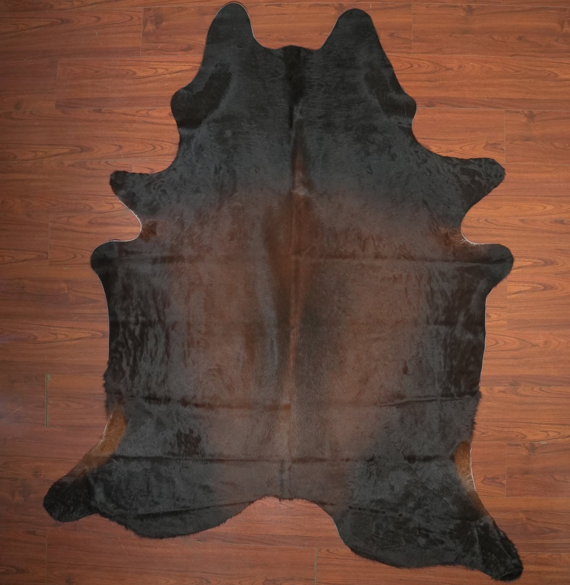The Nguni Guy Nguni cowhide African decor Authentic cowhide Home decor Interior design Unique pattern Hand-selected Premium quality Natural beauty Exotic rug Genuine hide Statement piece Contemporary style Ethically sourced Sustainable decor Versatile accent Luxury rug Designer piece Modern aesthetic High-end craftsmanship Timeless elegance Designer home accents

