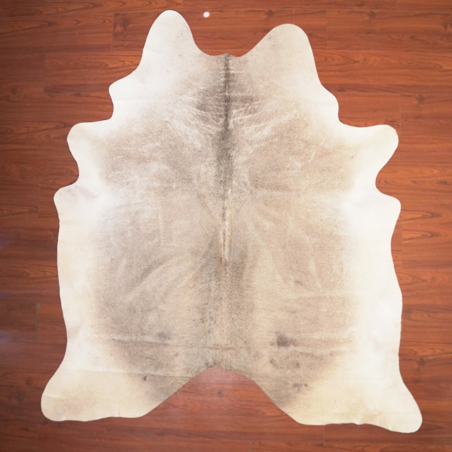 The Nguni Guy Nguni cowhide African decor Authentic cowhide Home decor Interior design Unique pattern Hand-selected Premium quality Natural beauty Exotic rug Genuine hide Statement piece Contemporary style Ethically sourced Sustainable decor Versatile accent Luxury rug Designer piece Modern aesthetic High-end craftsmanship Timeless elegance Designer home accents
