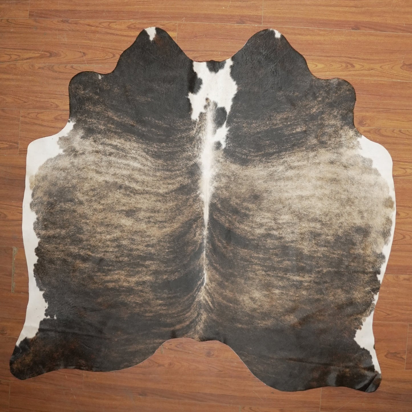 The Nguni Guy Nguni cowhide African decor Authentic cowhide Home decor Interior design Unique pattern Hand-selected Premium quality Natural beauty Exotic rug Genuine hide Statement piece Contemporary style Ethically sourced Sustainable decor Versatile accent Luxury rug Designer piece Modern aesthetic High-end craftsmanship Timeless elegance Designer home accents
