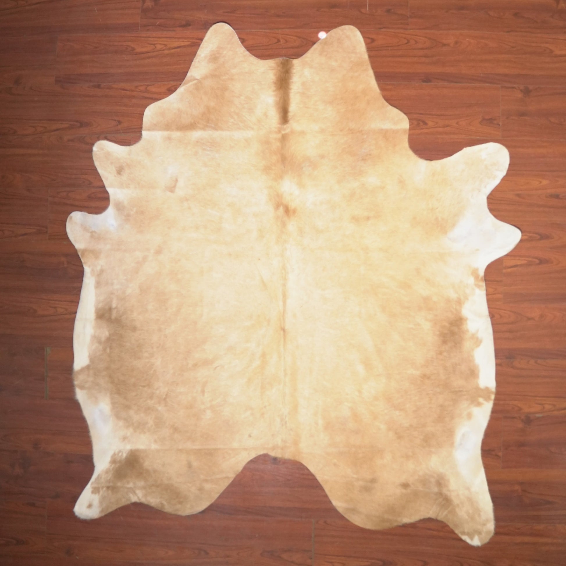The Nguni Guy Nguni cowhide African decor Authentic cowhide Home decor Interior design Unique pattern Hand-selected Premium quality Natural beauty Exotic rug Genuine hide Statement piece Contemporary style Ethically sourced Sustainable decor Versatile accent Luxury rug Designer piece Modern aesthetic High-end craftsmanship Timeless elegance Designer home accents
