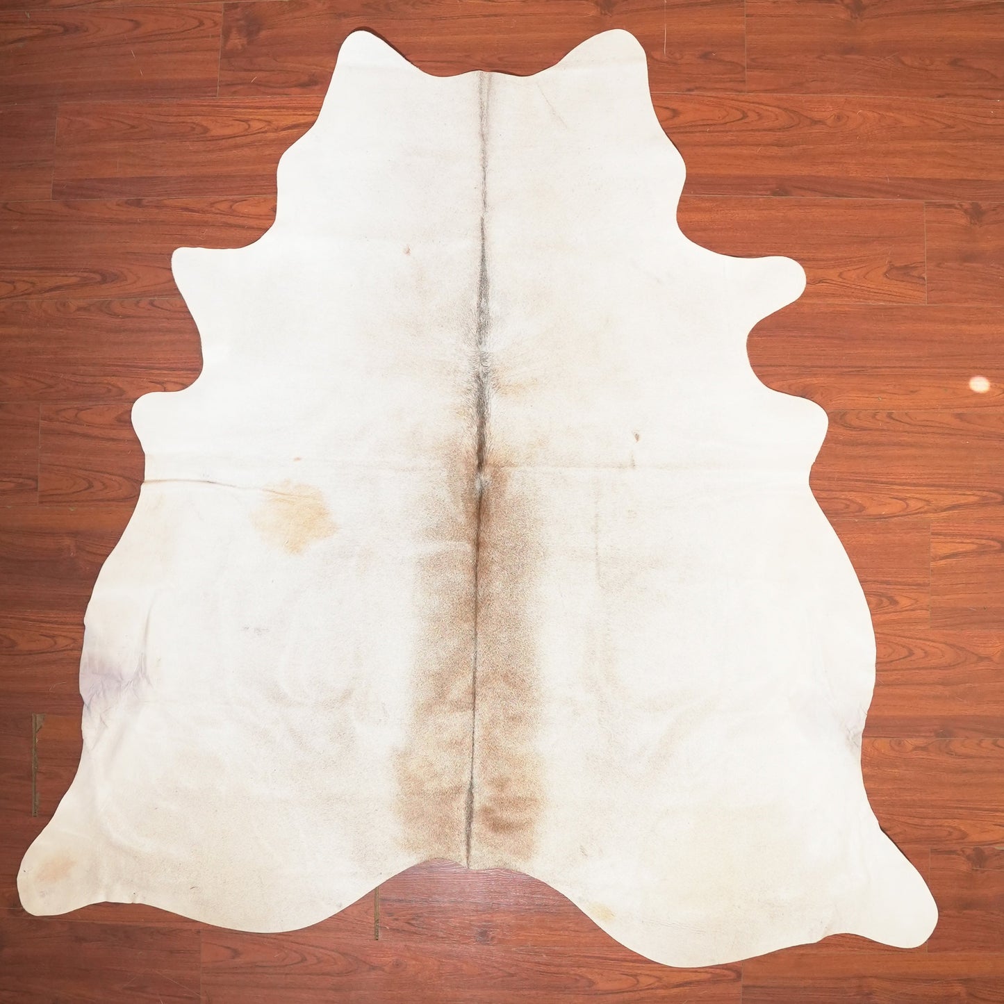 The Nguni Guy Nguni cowhide African decor Authentic cowhide Home decor Interior design Unique pattern Hand-selected Premium quality Natural beauty Exotic rug Genuine hide Statement piece Contemporary style Ethically sourced Sustainable decor Versatile accent Luxury rug Designer piece Modern aesthetic High-end craftsmanship Timeless elegance Designer home accents
