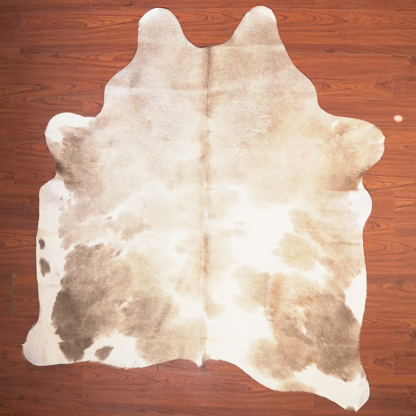 The Nguni Guy Nguni cowhide African decor Authentic cowhide Home decor Interior design Unique pattern Hand-selected Premium quality Natural beauty Exotic rug Genuine hide Statement piece Contemporary style Ethically sourced Sustainable decor Versatile accent Luxury rug Designer piece Modern aesthetic High-end craftsmanship Timeless elegance Designer home accents
