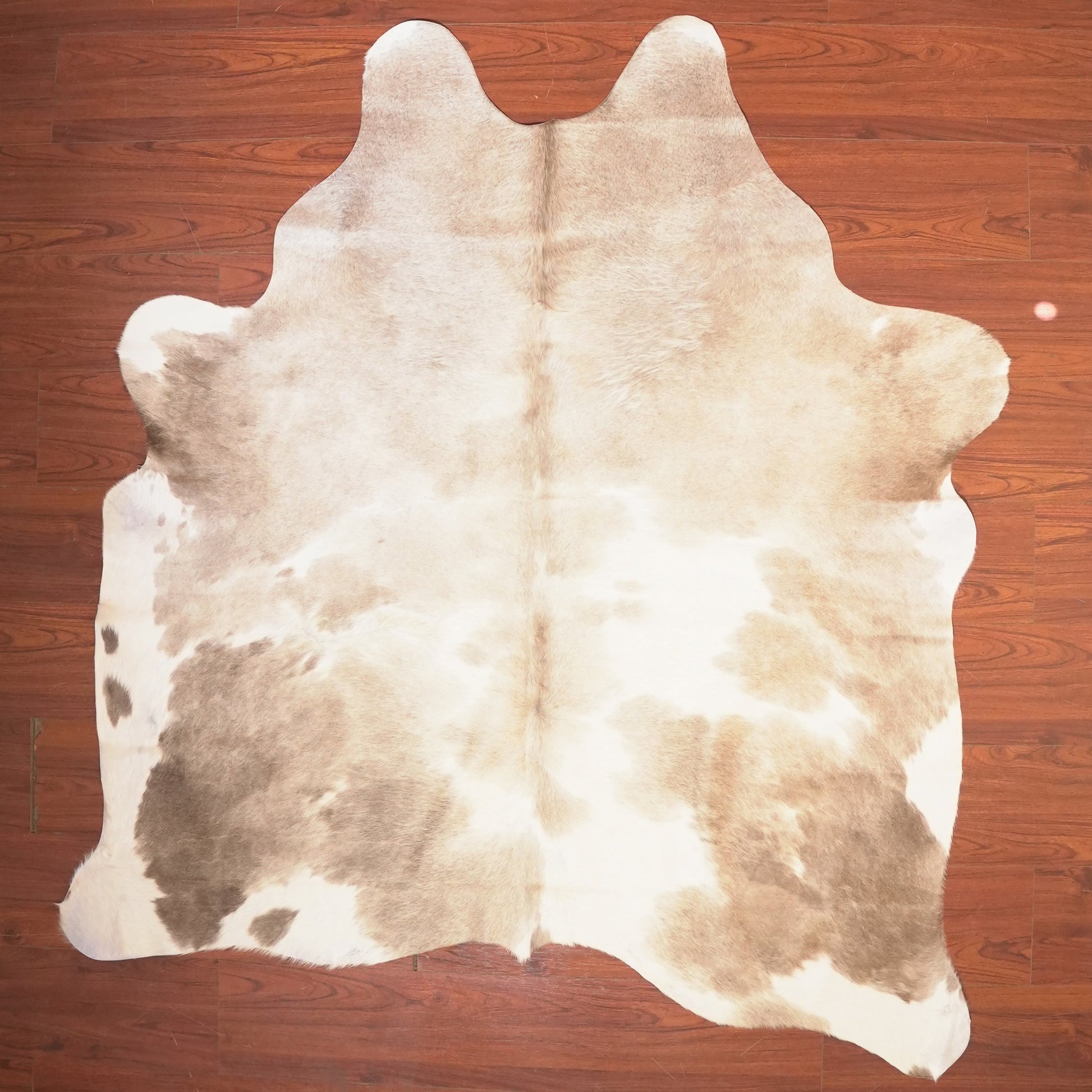 The Nguni Guy Nguni cowhide African decor Authentic cowhide Home decor Interior design Unique pattern Hand-selected Premium quality Natural beauty Exotic rug Genuine hide Statement piece Contemporary style Ethically sourced Sustainable decor Versatile accent Luxury rug Designer piece Modern aesthetic High-end craftsmanship Timeless elegance Designer home accents

