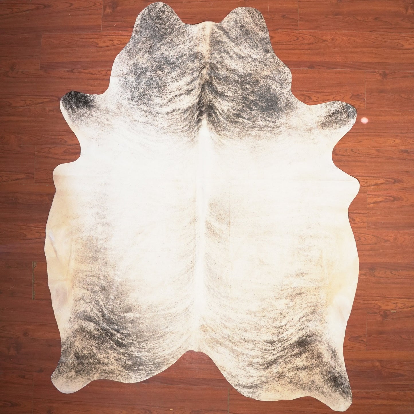 The Nguni Guy Nguni cowhide African decor Authentic cowhide Home decor Interior design Unique pattern Hand-selected Premium quality Natural beauty Exotic rug Genuine hide Statement piece Contemporary style Ethically sourced Sustainable decor Versatile accent Luxury rug Designer piece Modern aesthetic High-end craftsmanship Timeless elegance Designer home accents
