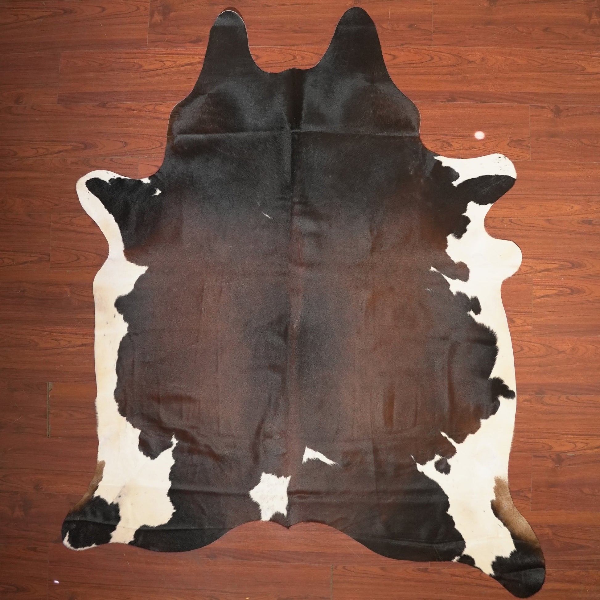 The Nguni Guy Nguni cowhide African decor Authentic cowhide Home decor Interior design Unique pattern Hand-selected Premium quality Natural beauty Exotic rug Genuine hide Statement piece Contemporary style Ethically sourced Sustainable decor Versatile accent Luxury rug Designer piece Modern aesthetic High-end craftsmanship Timeless elegance Designer home accents
