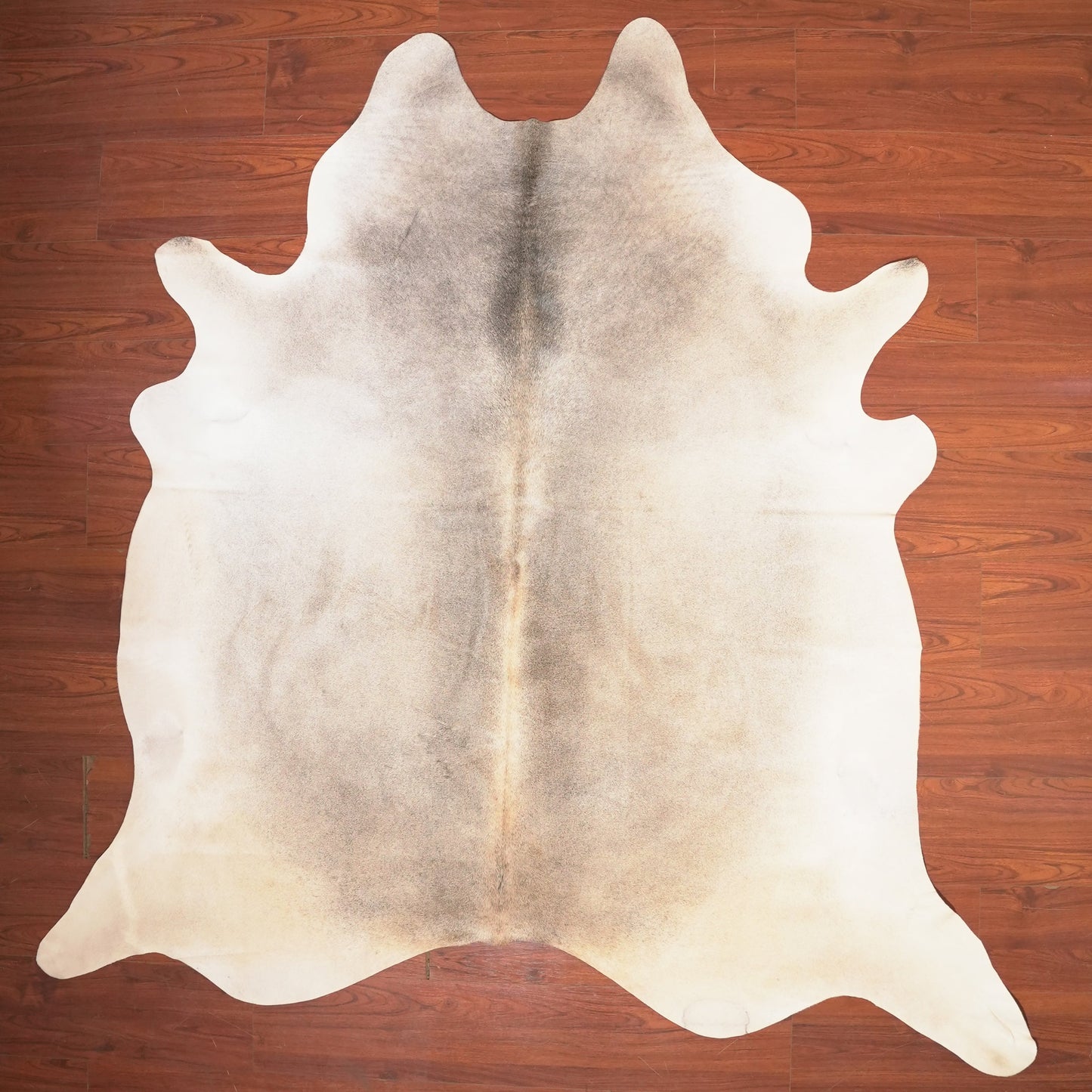 The Nguni Guy Nguni cowhide African decor Authentic cowhide Home decor Interior design Unique pattern Hand-selected Premium quality Natural beauty Exotic rug Genuine hide Statement piece Contemporary style Ethically sourced Sustainable decor Versatile accent Luxury rug Designer piece Modern aesthetic High-end craftsmanship Timeless elegance Designer home accents
