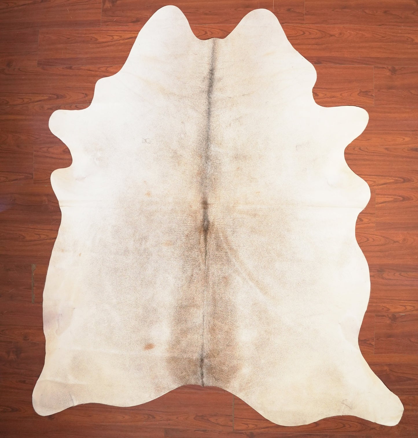 The Nguni Guy Nguni cowhide African decor Authentic cowhide Home decor Interior design Unique pattern Hand-selected Premium quality Natural beauty Exotic rug Genuine hide Statement piece Contemporary style Ethically sourced Sustainable decor Versatile accent Luxury rug Designer piece Modern aesthetic High-end craftsmanship Timeless elegance Designer home accents
