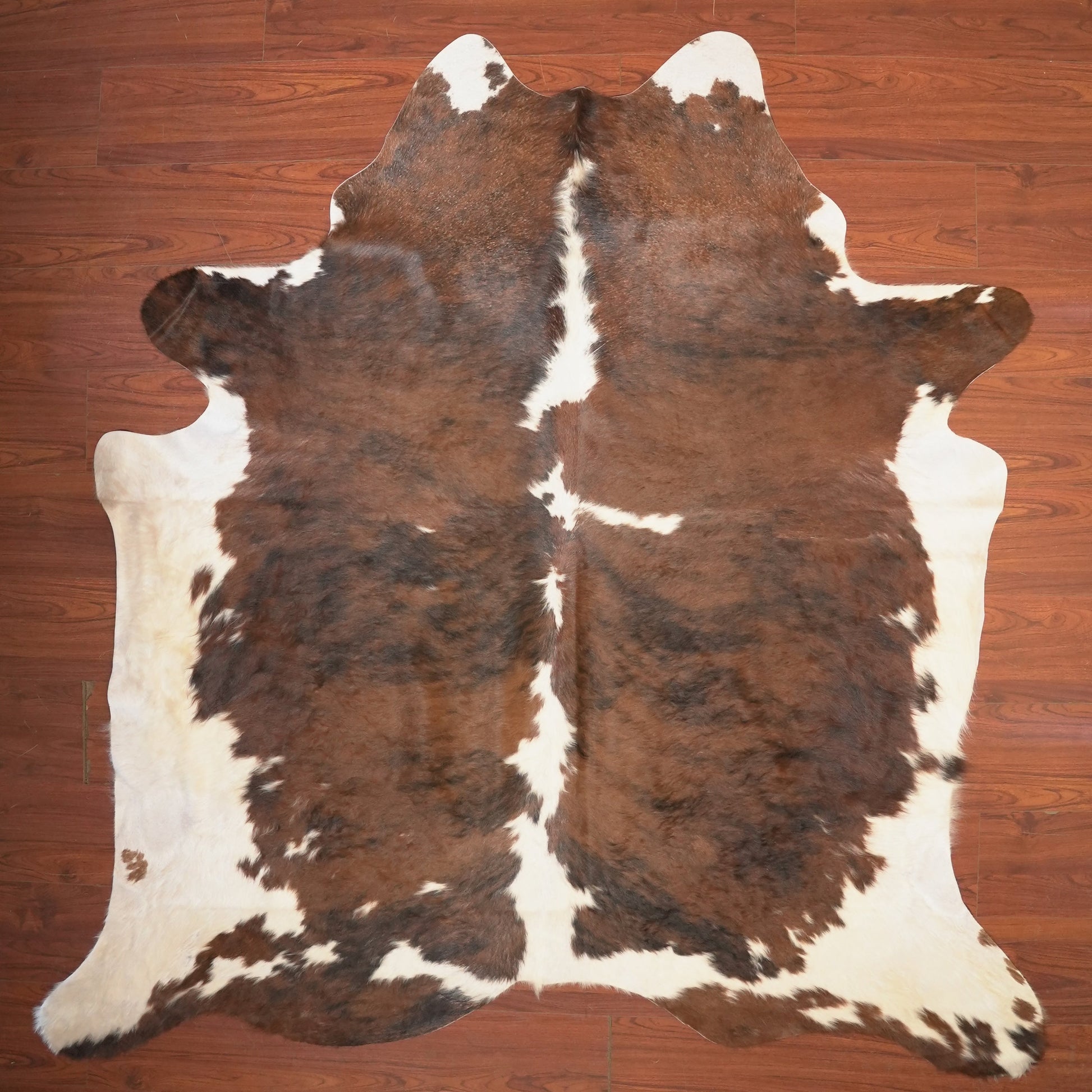 The Nguni Guy Nguni cowhide African decor Authentic cowhide Home decor Interior design Unique pattern Hand-selected Premium quality Natural beauty Exotic rug Genuine hide Statement piece Contemporary style Ethically sourced Sustainable decor Versatile accent Luxury rug Designer piece Modern aesthetic High-end craftsmanship Timeless elegance Designer home accents
