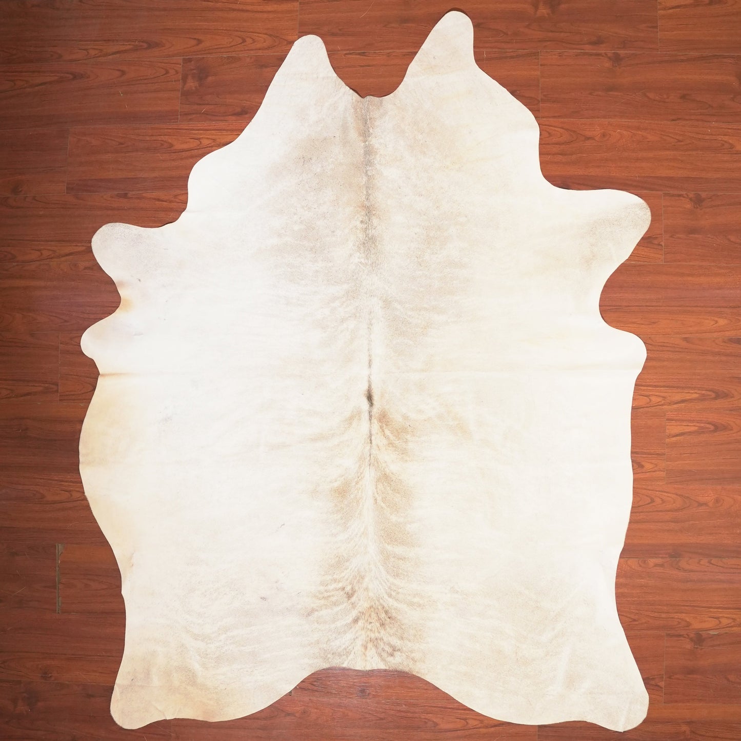The Nguni Guy Nguni cowhide African decor Authentic cowhide Home decor Interior design Unique pattern Hand-selected Premium quality Natural beauty Exotic rug Genuine hide Statement piece Contemporary style Ethically sourced Sustainable decor Versatile accent Luxury rug Designer piece Modern aesthetic High-end craftsmanship Timeless elegance Designer home accents
