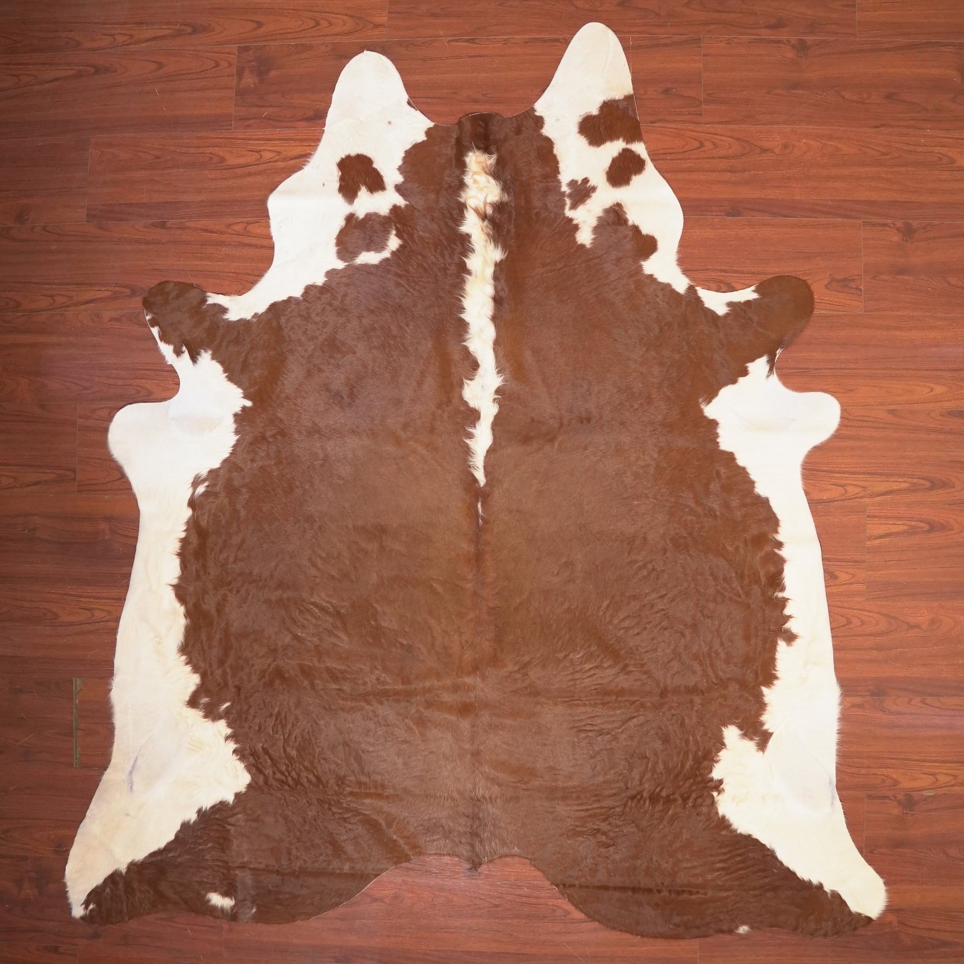 The Nguni Guy Nguni cowhide African decor Authentic cowhide Home decor Interior design Unique pattern Hand-selected Premium quality Natural beauty Exotic rug Genuine hide Statement piece Contemporary style Ethically sourced Sustainable decor Versatile accent Luxury rug Designer piece Modern aesthetic High-end craftsmanship Timeless elegance Designer home accents
