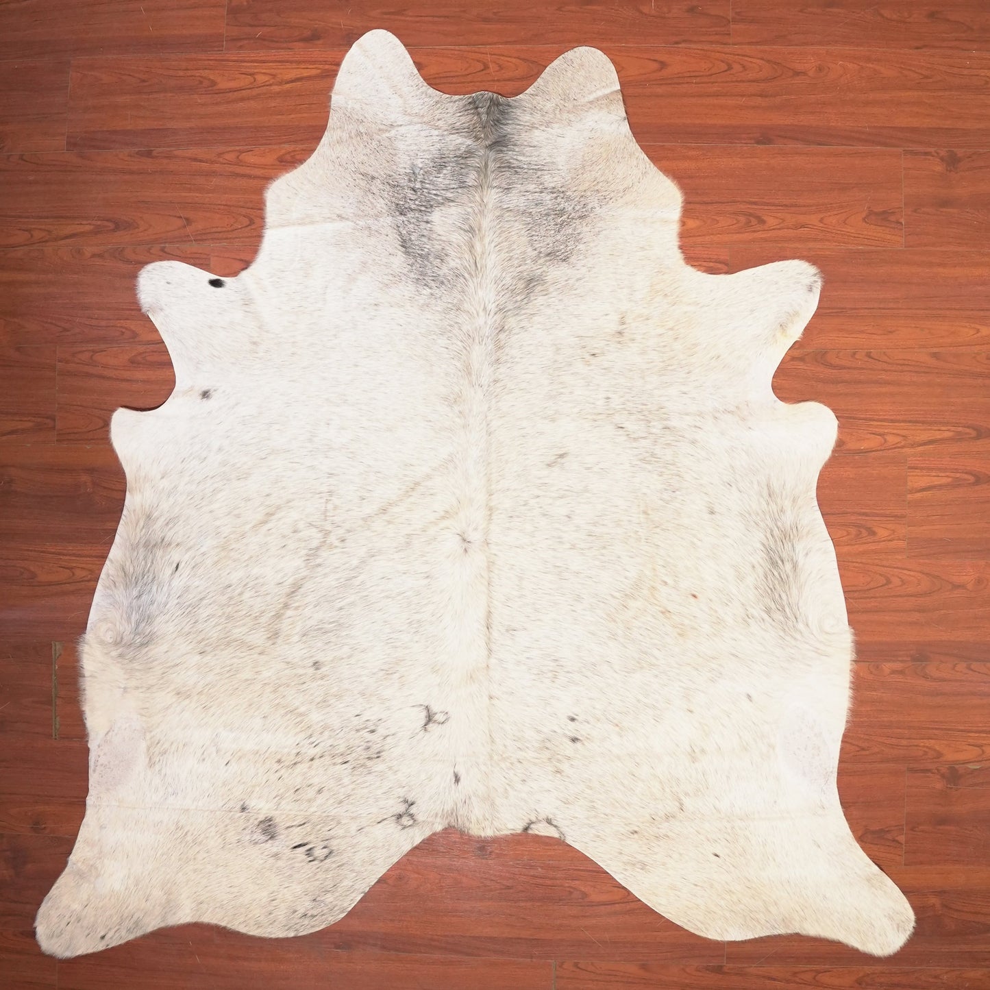 The Nguni Guy Nguni cowhide African decor Authentic cowhide Home decor Interior design Unique pattern Hand-selected Premium quality Natural beauty Exotic rug Genuine hide Statement piece Contemporary style Ethically sourced Sustainable decor Versatile accent Luxury rug Designer piece Modern aesthetic High-end craftsmanship Timeless elegance Designer home accents
