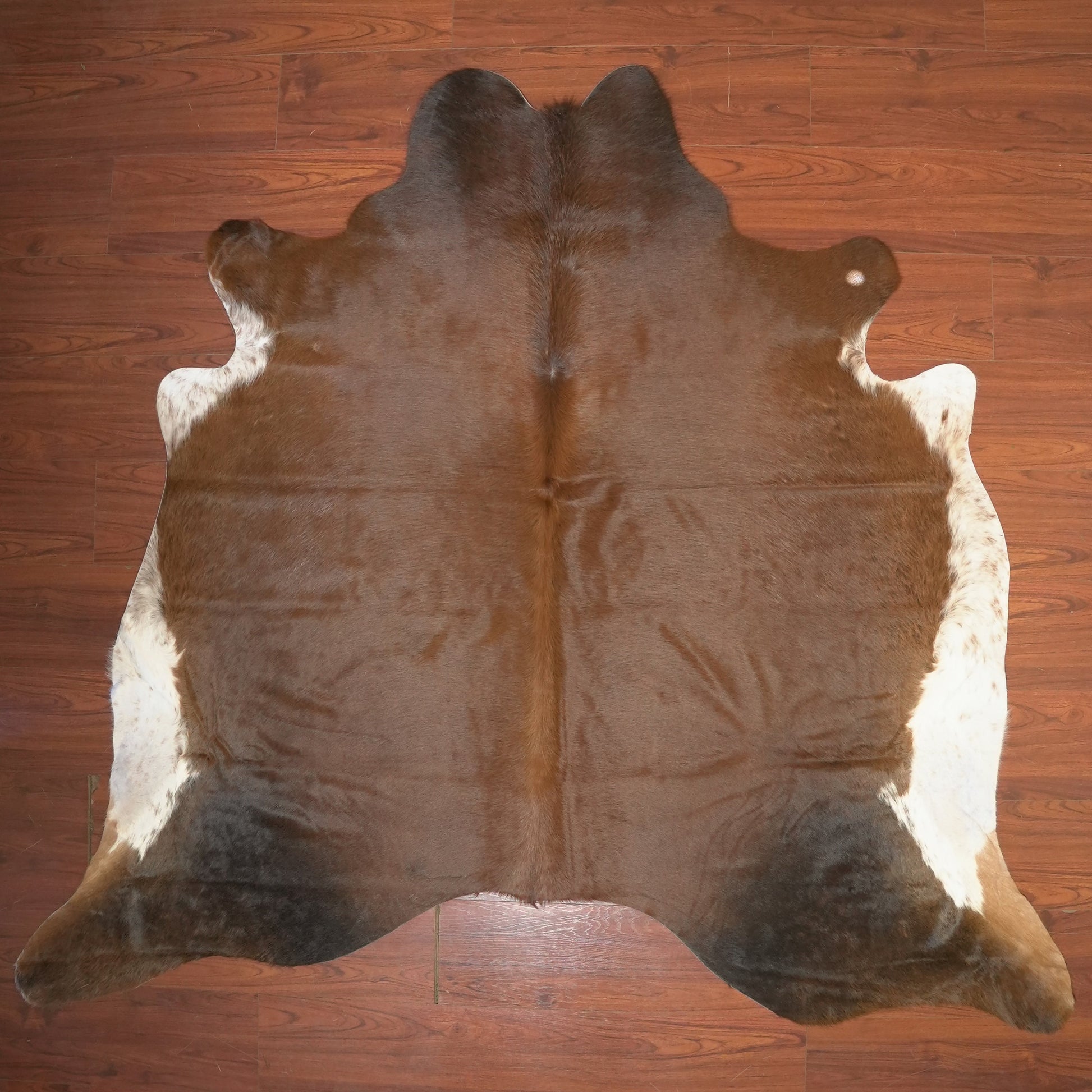 The Nguni Guy Nguni cowhide African decor Authentic cowhide Home decor Interior design Unique pattern Hand-selected Premium quality Natural beauty Exotic rug Genuine hide Statement piece Contemporary style Ethically sourced Sustainable decor Versatile accent Luxury rug Designer piece Modern aesthetic High-end craftsmanship Timeless elegance Designer home accents
