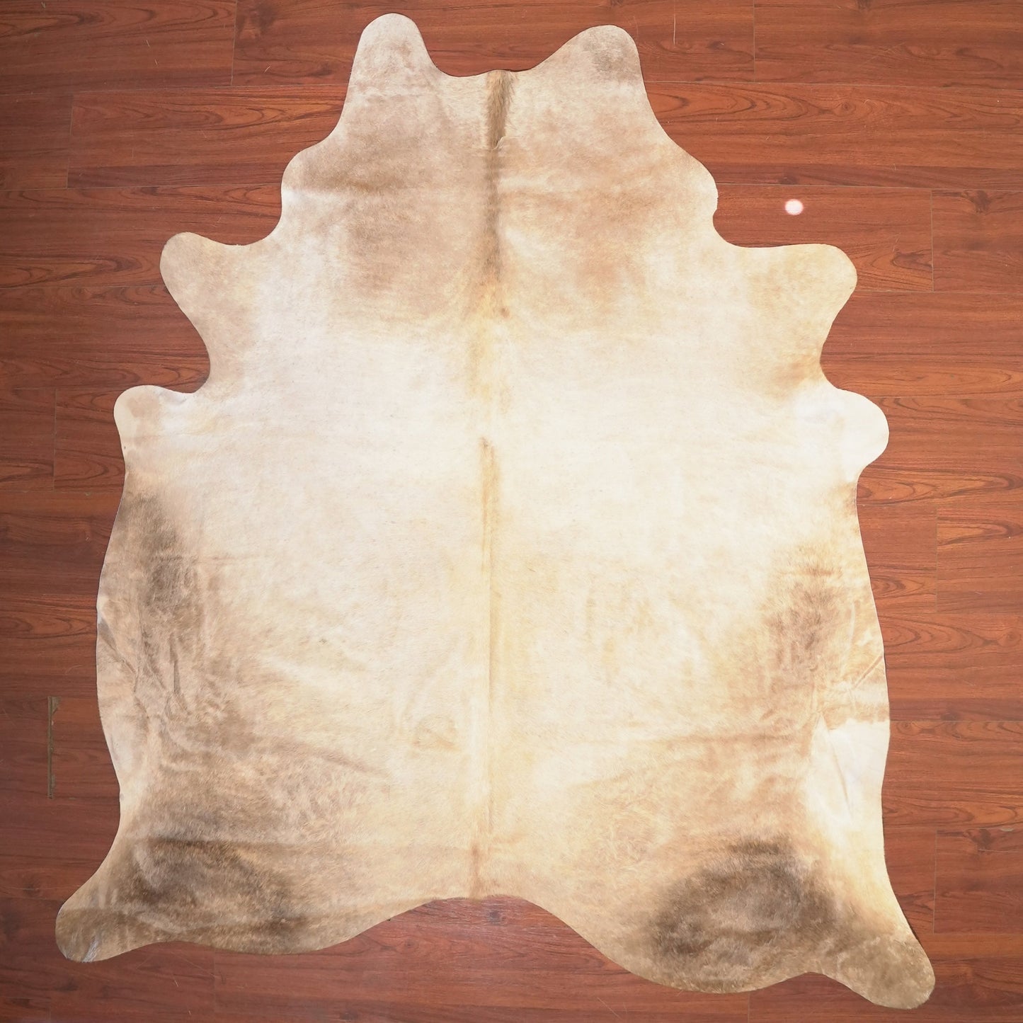 The Nguni Guy Nguni cowhide African decor Authentic cowhide Home decor Interior design Unique pattern Hand-selected Premium quality Natural beauty Exotic rug Genuine hide Statement piece Contemporary style Ethically sourced Sustainable decor Versatile accent Luxury rug Designer piece Modern aesthetic High-end craftsmanship Timeless elegance Designer home accents
