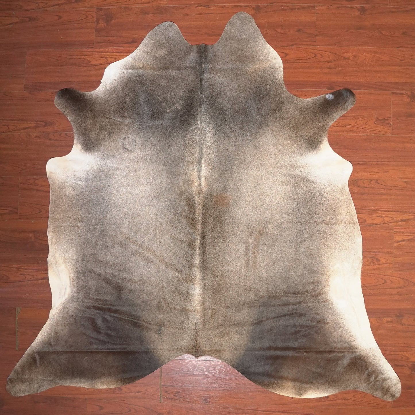 The Nguni Guy Nguni cowhide African decor Authentic cowhide Home decor Interior design Unique pattern Hand-selected Premium quality Natural beauty Exotic rug Genuine hide Statement piece Contemporary style Ethically sourced Sustainable decor Versatile accent Luxury rug Designer piece Modern aesthetic High-end craftsmanship Timeless elegance Designer home accents

