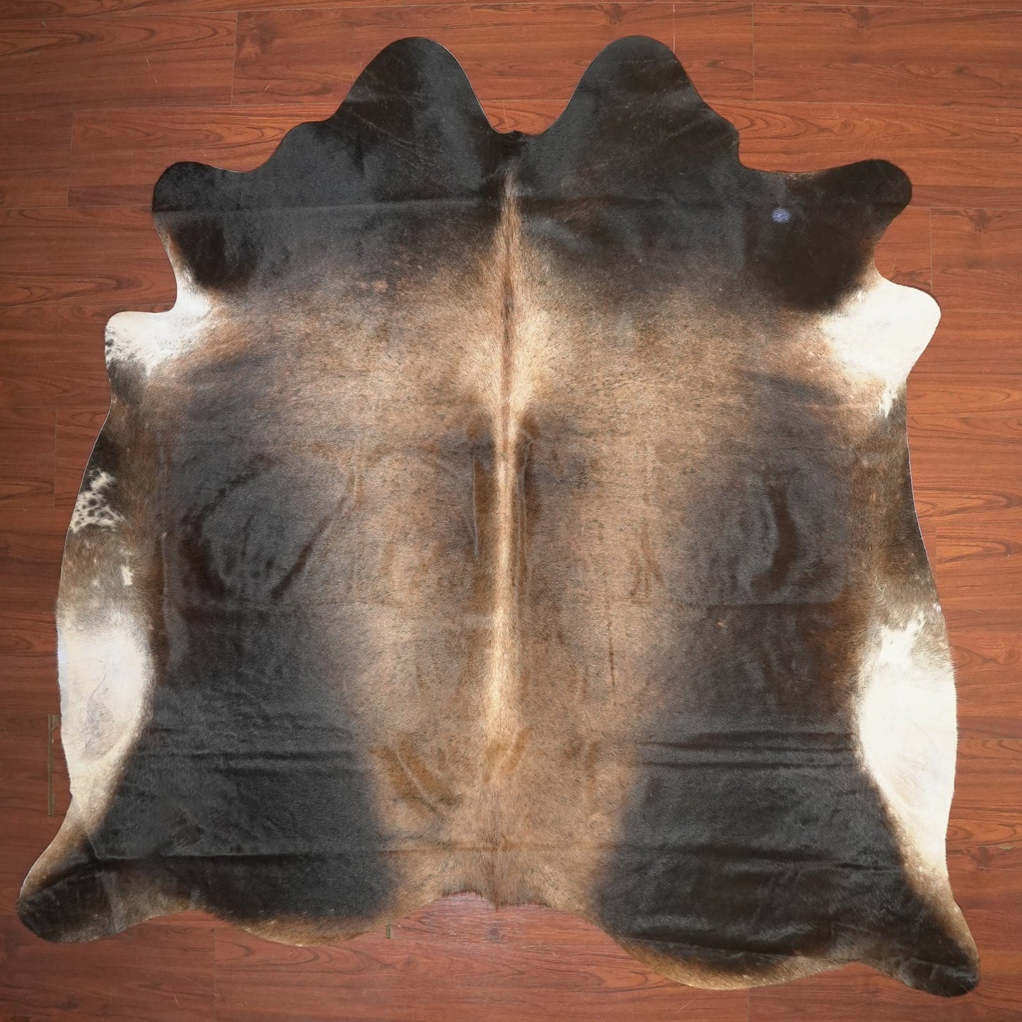 The Nguni Guy Nguni cowhide African decor Authentic cowhide Home decor Interior design Unique pattern Hand-selected Premium quality Natural beauty Exotic rug Genuine hide Statement piece Contemporary style Ethically sourced Sustainable decor Versatile accent Luxury rug Designer piece Modern aesthetic High-end craftsmanship Timeless elegance Designer home accents
