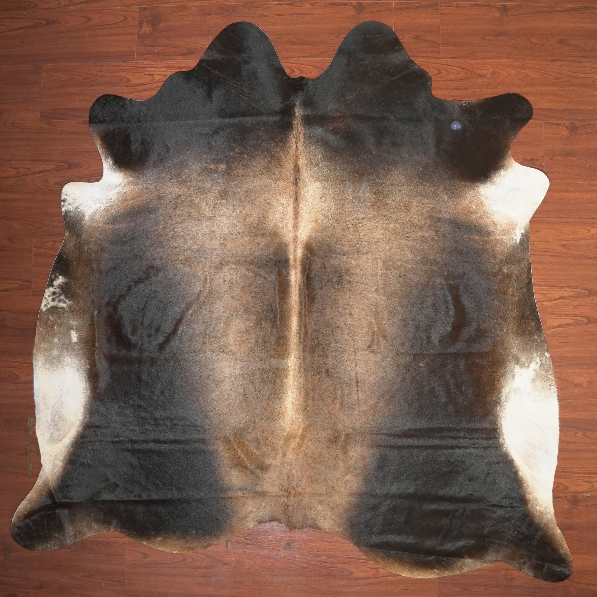 The Nguni Guy Nguni cowhide African decor Authentic cowhide Home decor Interior design Unique pattern Hand-selected Premium quality Natural beauty Exotic rug Genuine hide Statement piece Contemporary style Ethically sourced Sustainable decor Versatile accent Luxury rug Designer piece Modern aesthetic High-end craftsmanship Timeless elegance Designer home accents
